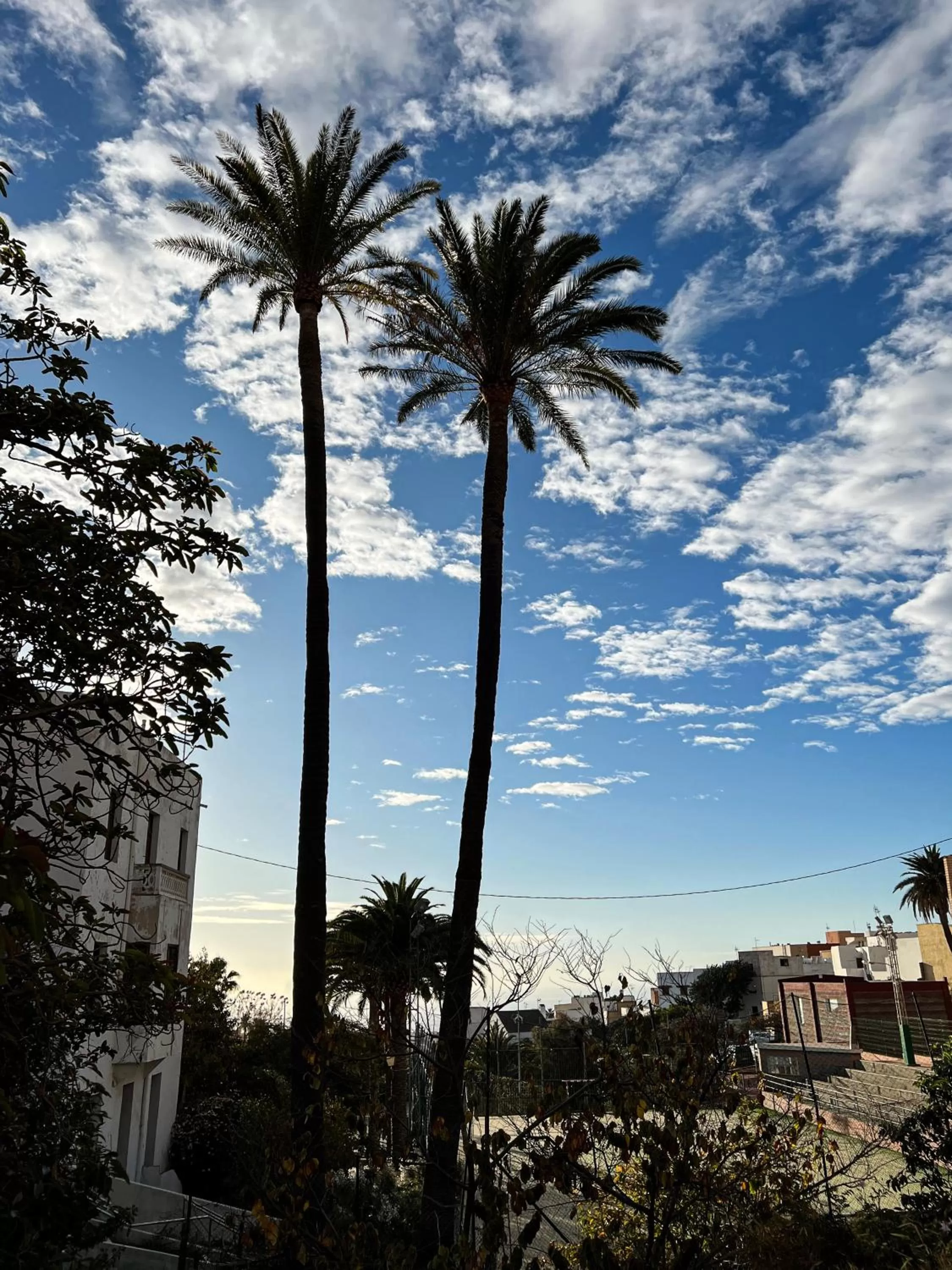 View (from property/room) in Villa Nestor