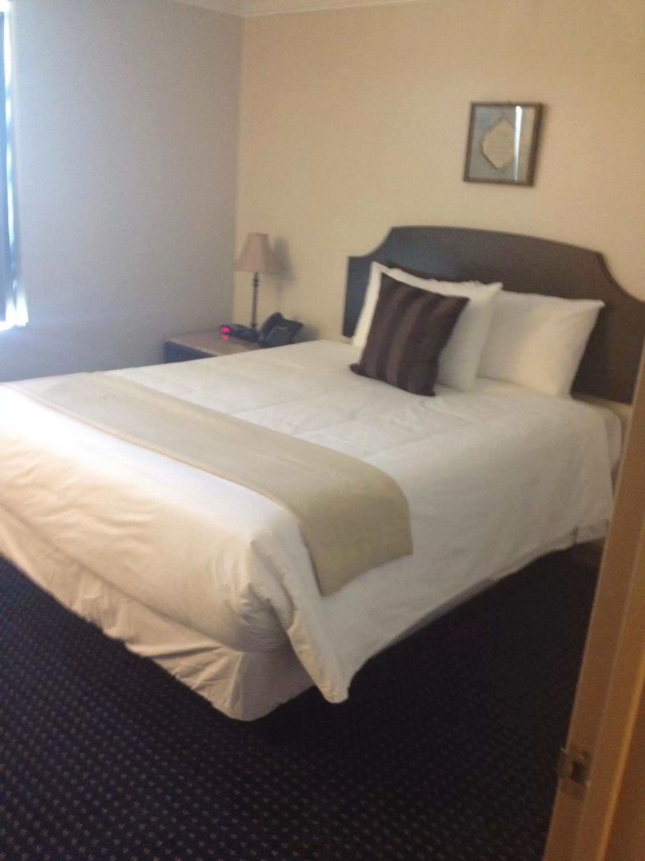 Run Of The House in Montecassino Hotel & Suites Run Of The House in Montecassino Hotel & Suites