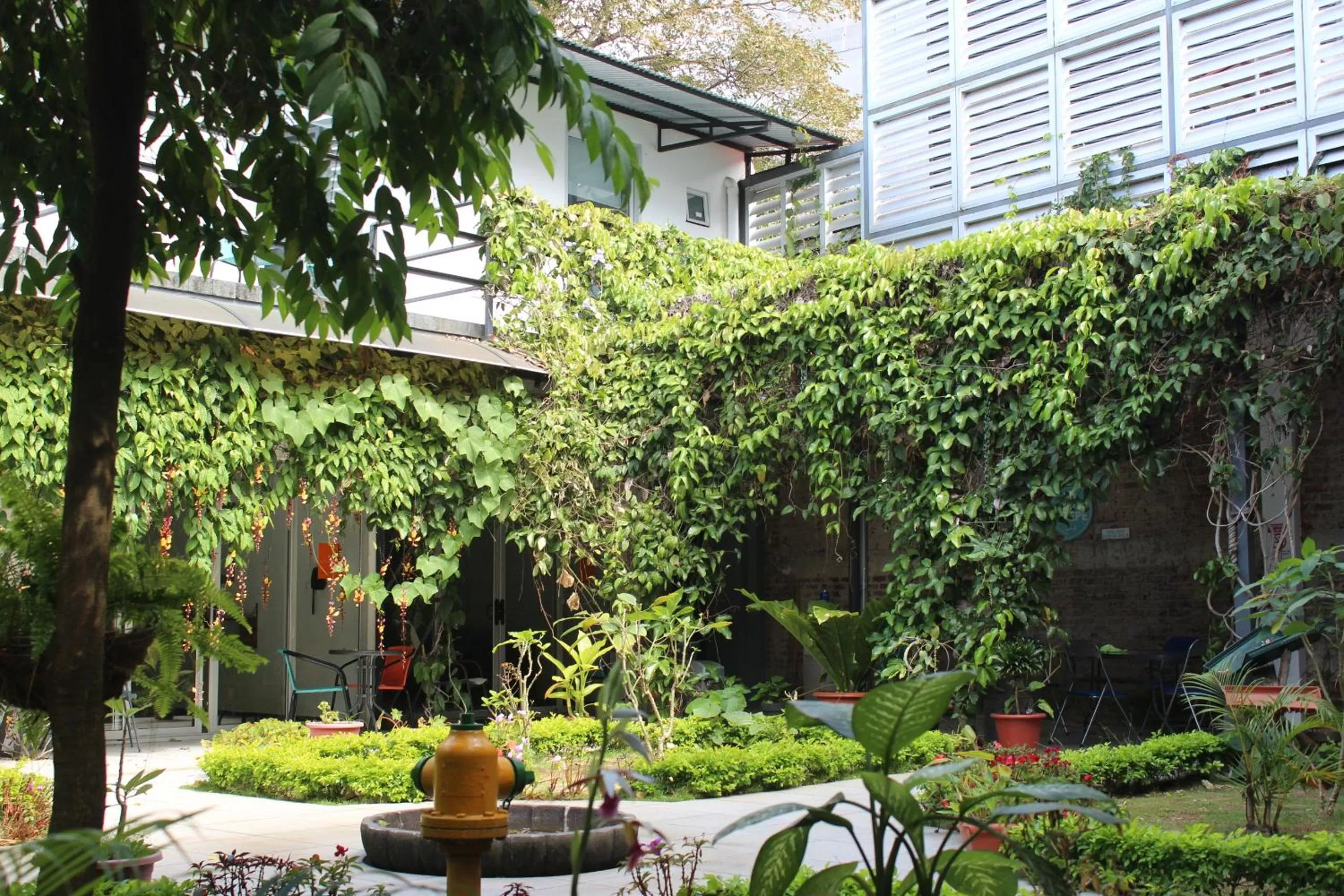 Garden in Cando Living Apartments in Central Avenue