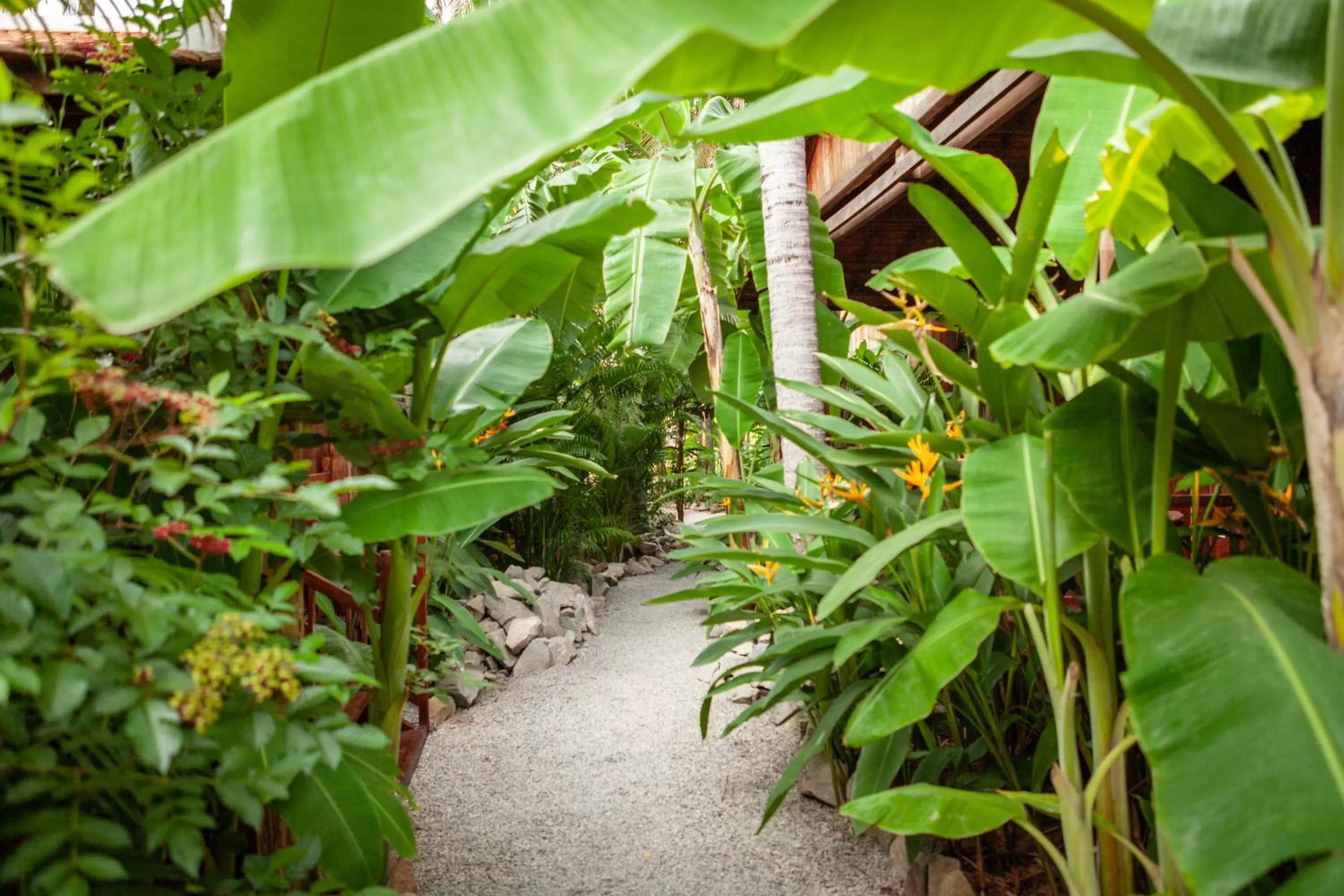 Garden in Authentic Khmer Village Resort