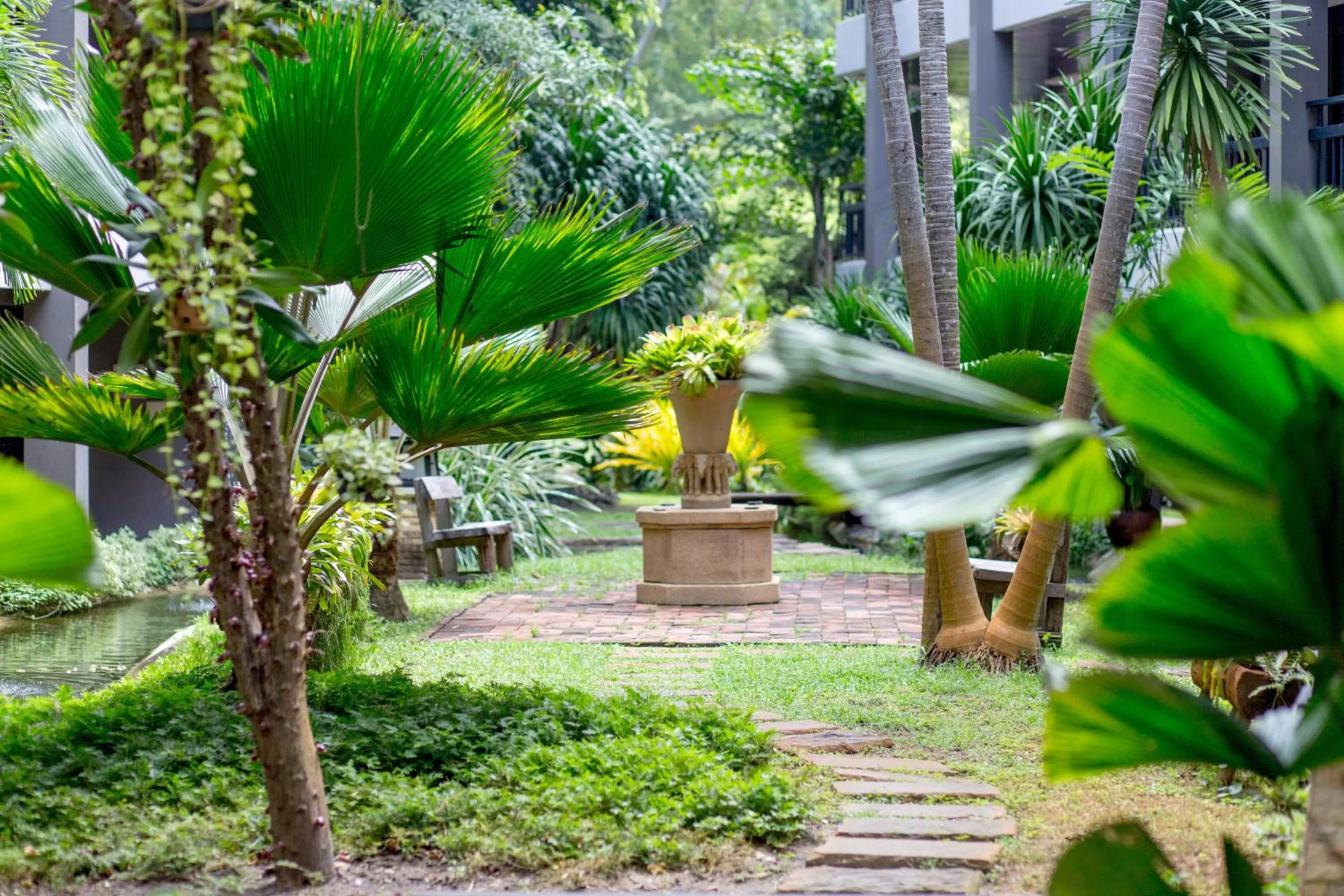 Garden view in Siam Bayshore Resort Pattaya