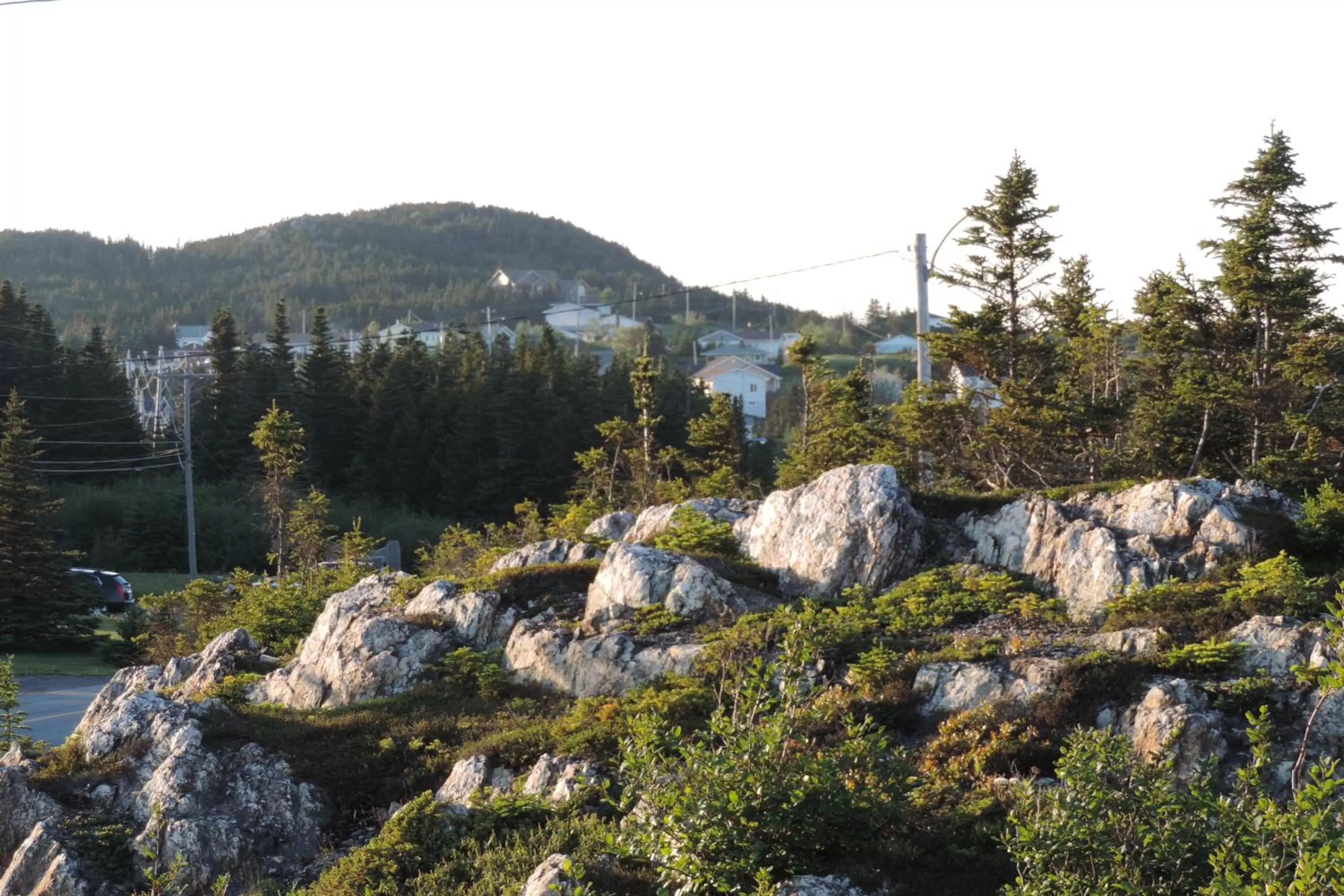 Mountain view in North 99 Motel