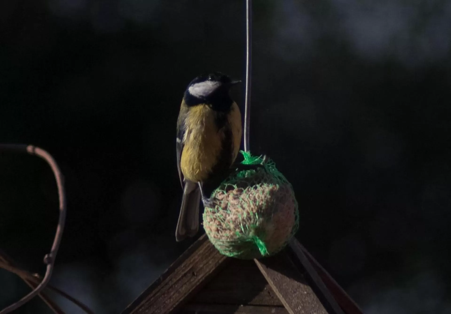 Property building in BBnaon