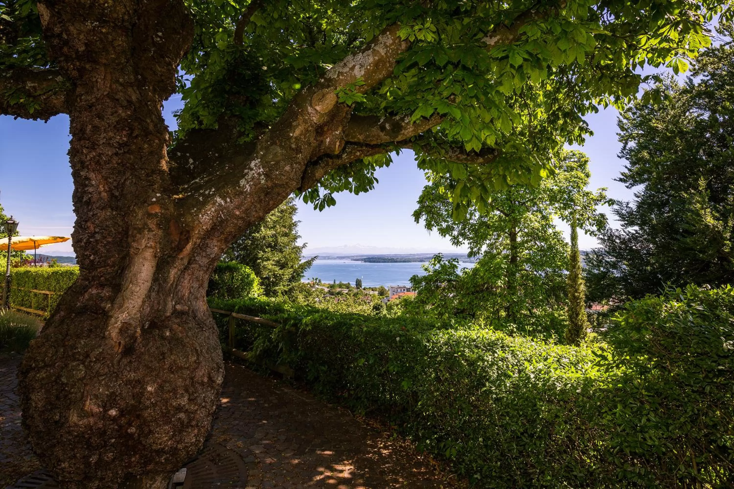 Garden in Parkhotel St.Leonhard