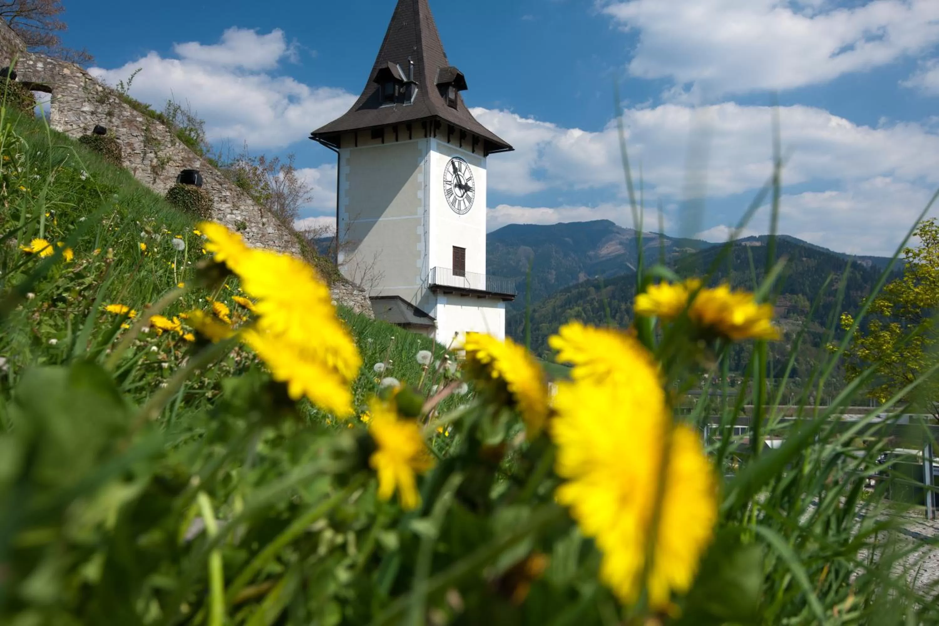 Area and facilities in Hotel Landskron