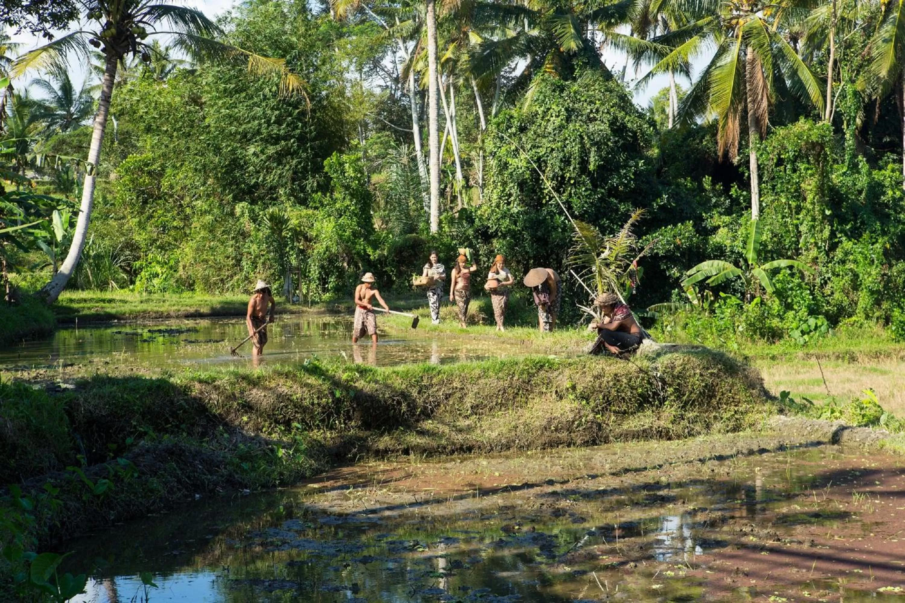 Activities in Dwaraka The Royal Villas