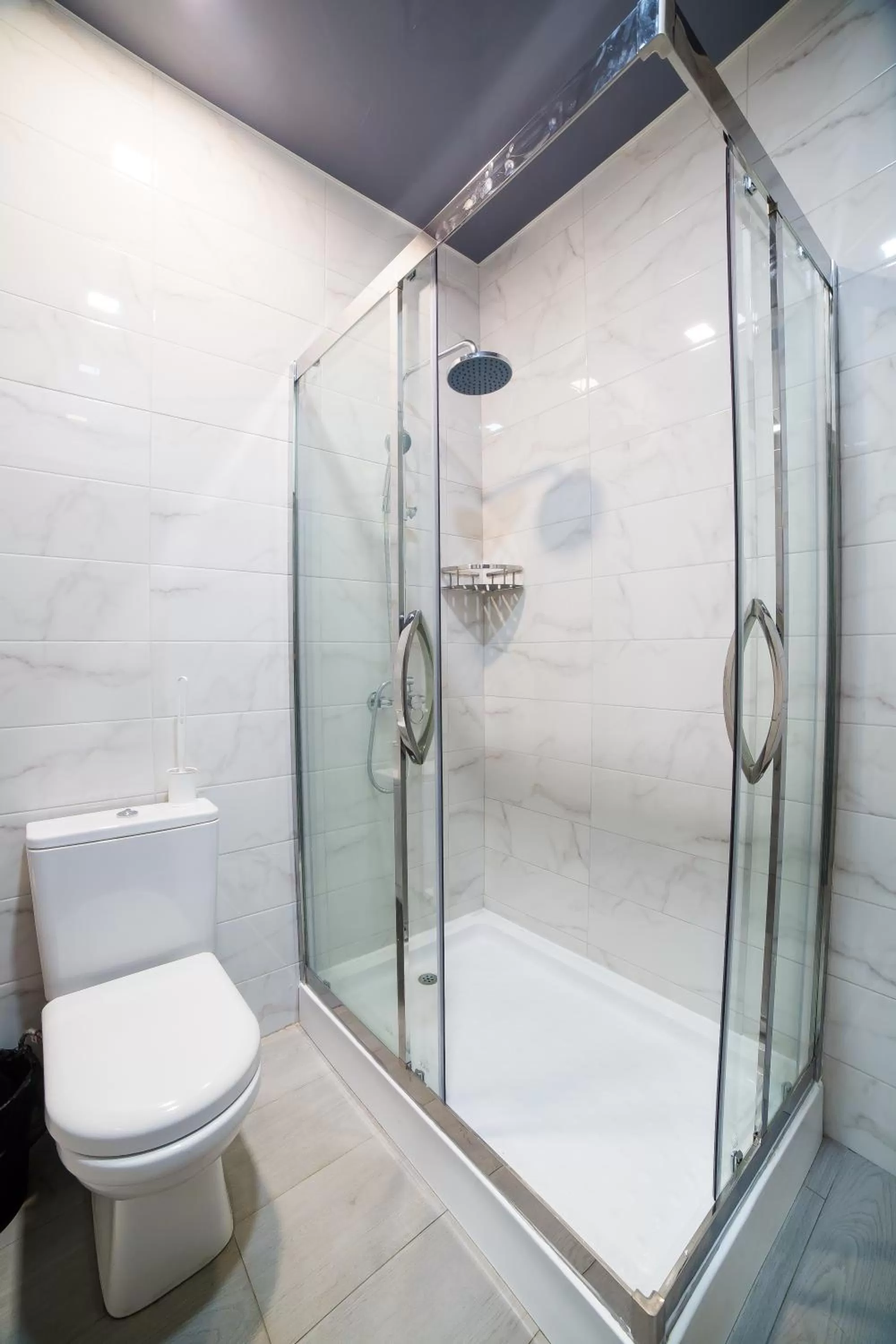 Shower, Bathroom in Golden Hotel