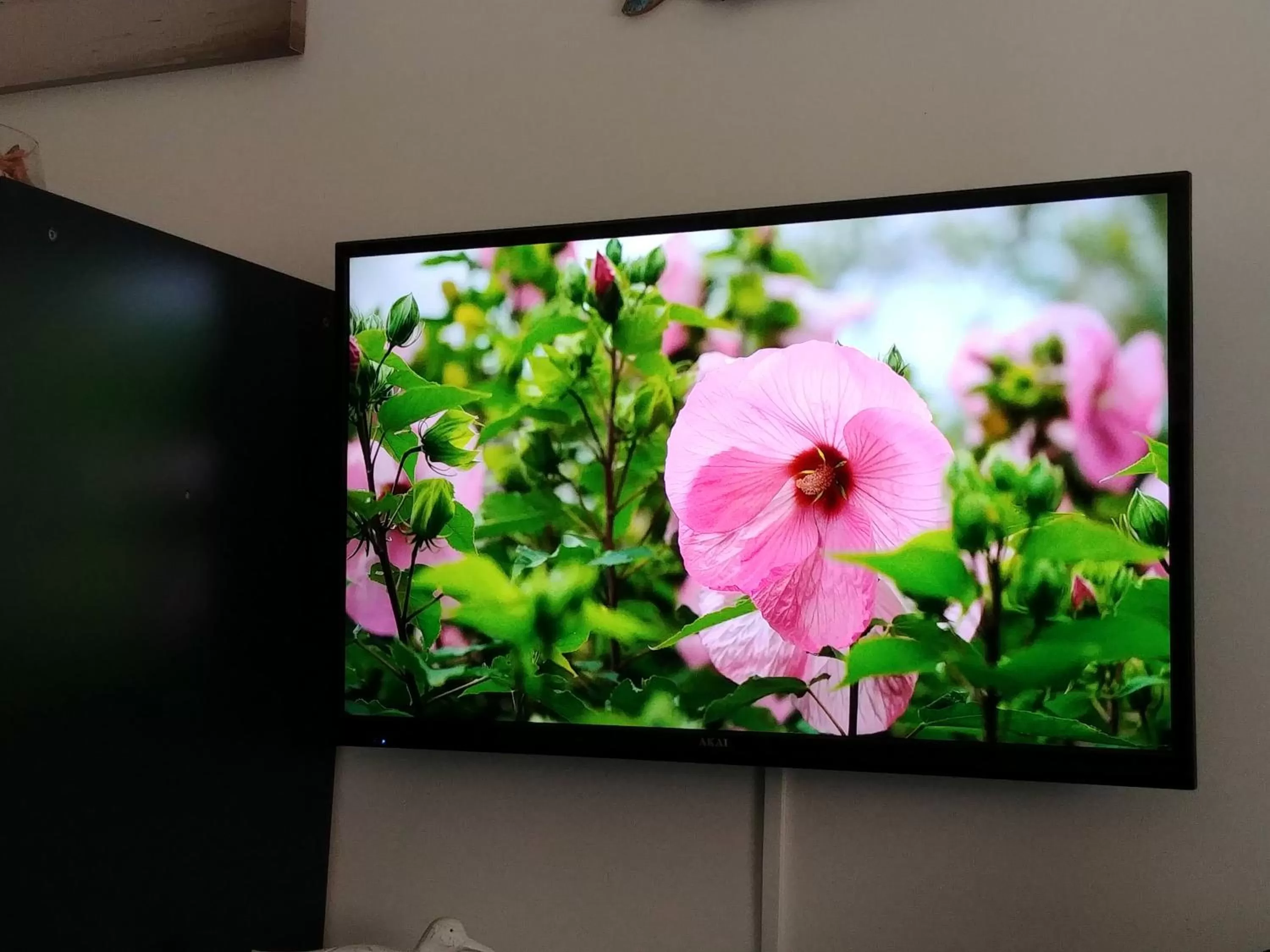 TV and multimedia in Miky M House B&B