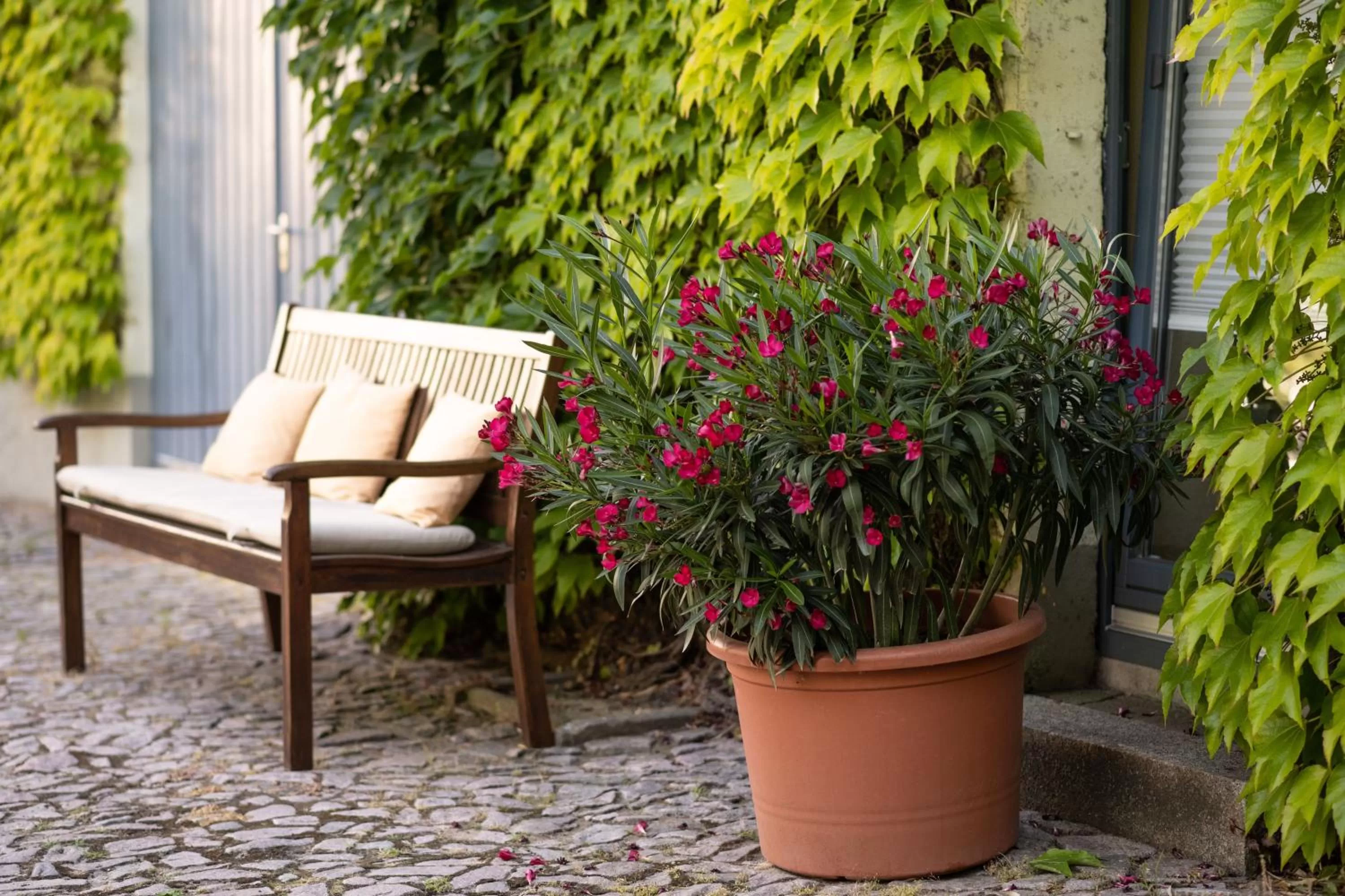 Property building in Hotel Moritz an der Elbe