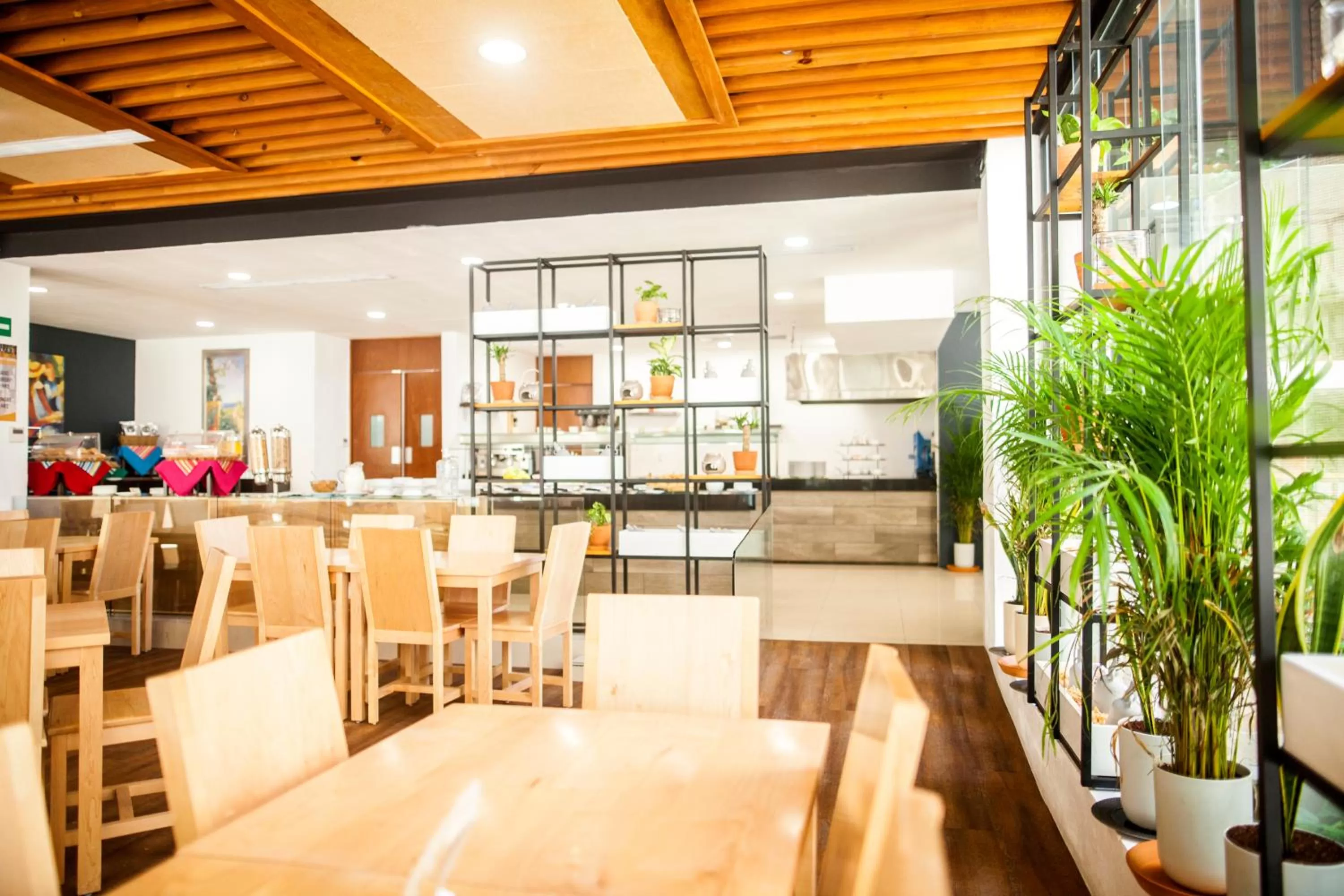 Restaurant/places to eat in Wyndham Garden Cancun Downtown