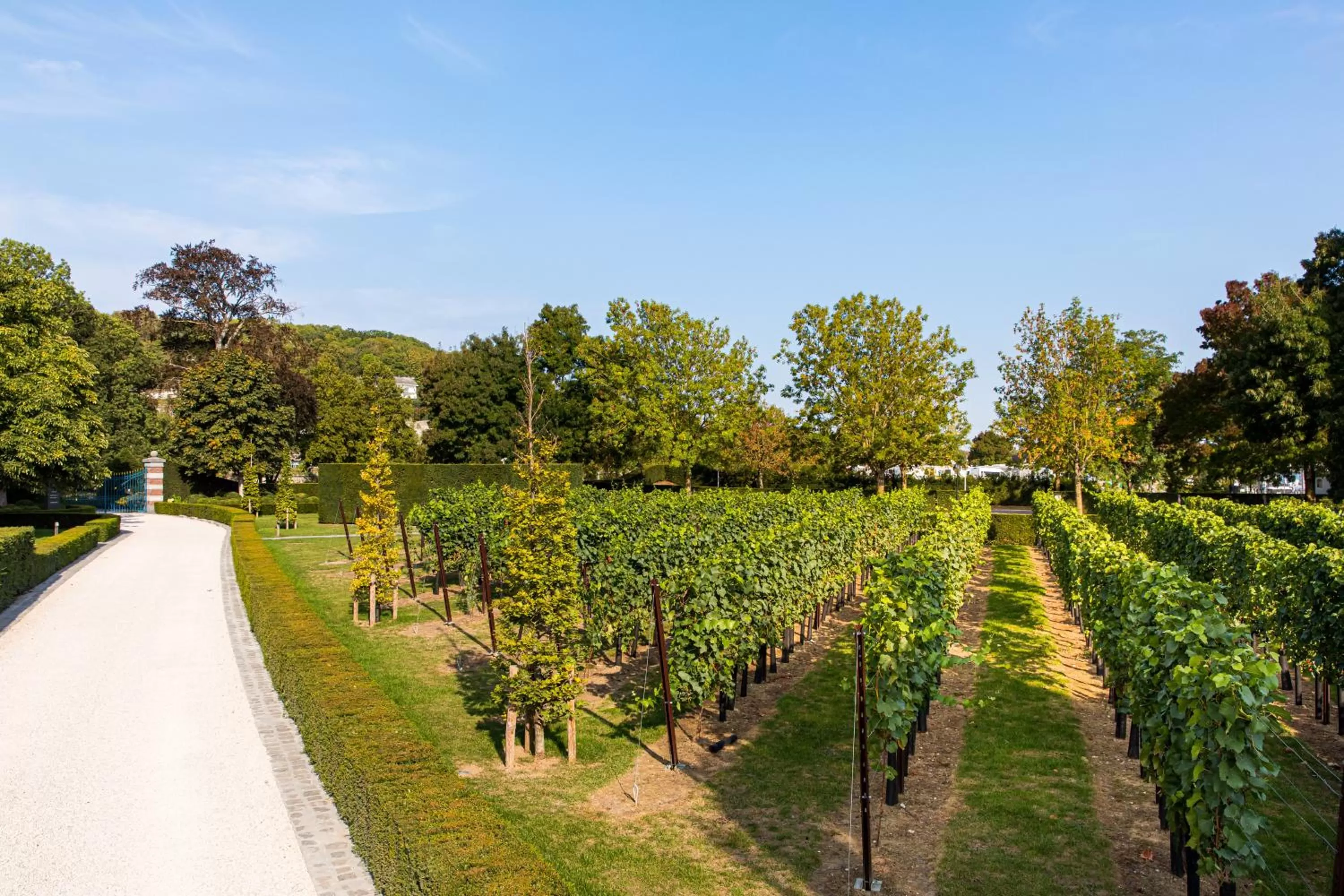 Landgoed Kasteel de Hoogenweerth