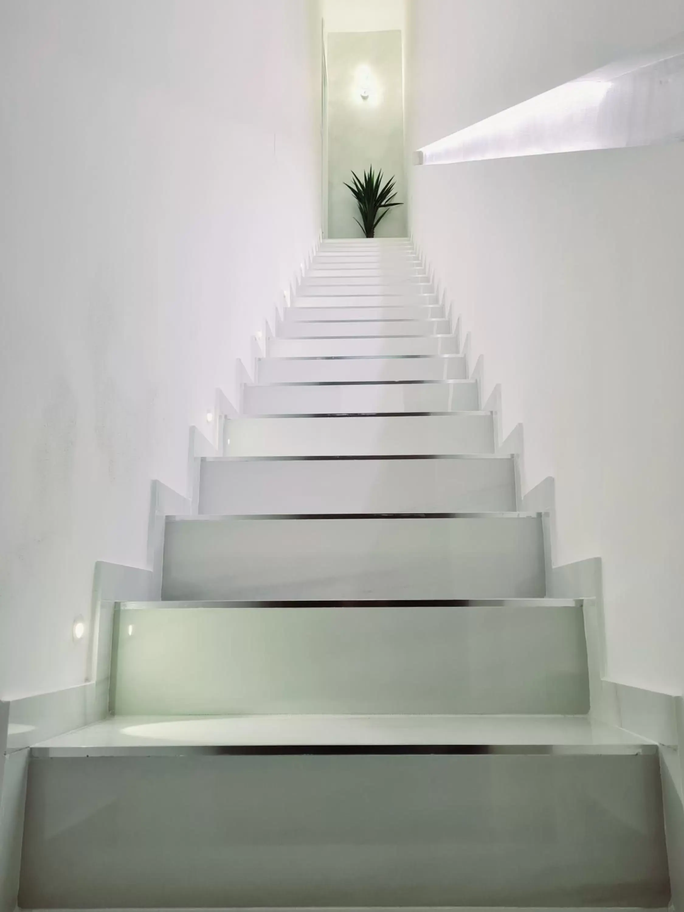 SCRUSCIU HOME SCRUSCIU HOME