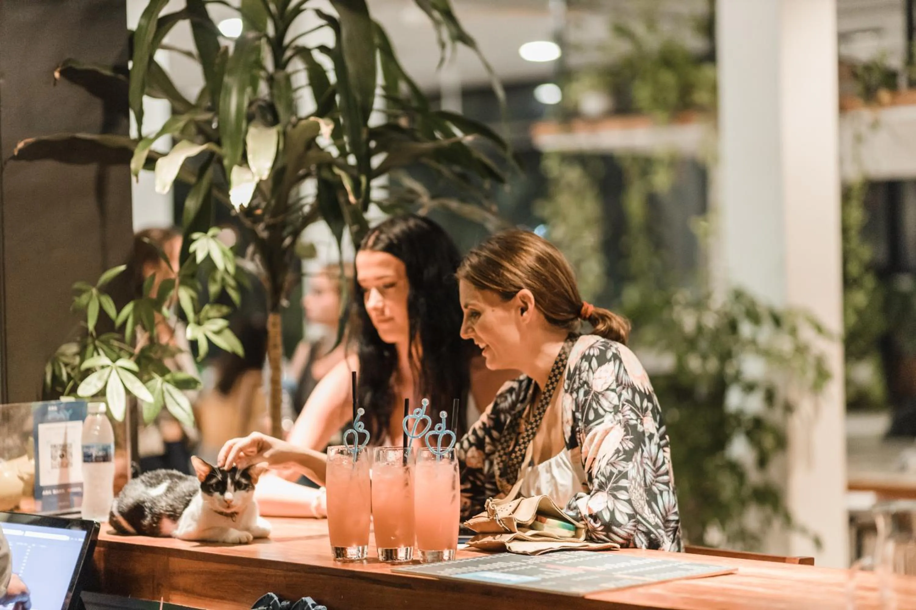 Lounge or bar in Onederz Siem Reap