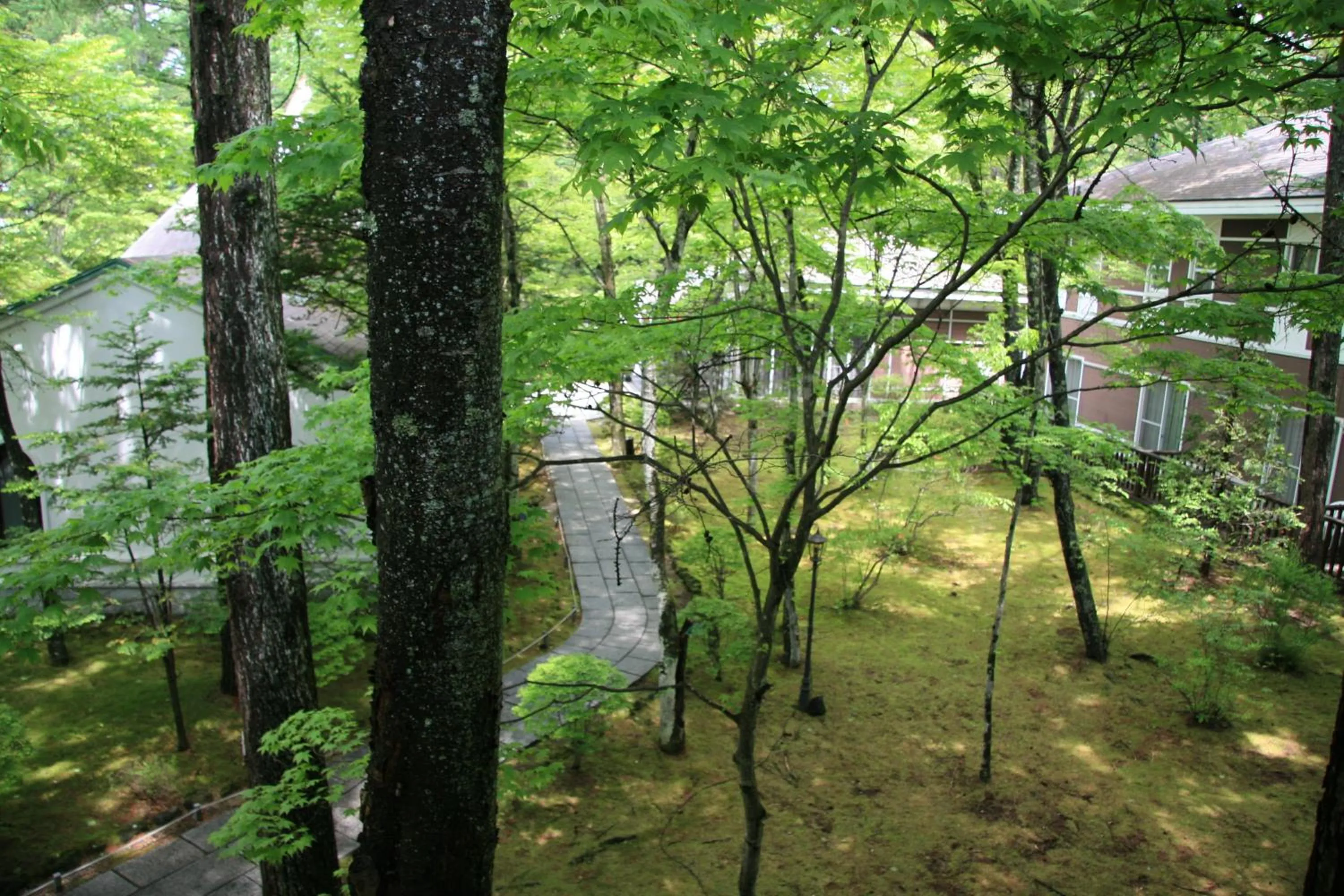 View (from property/room) in Kyu Karuizawa Hotel Otowa No Mori