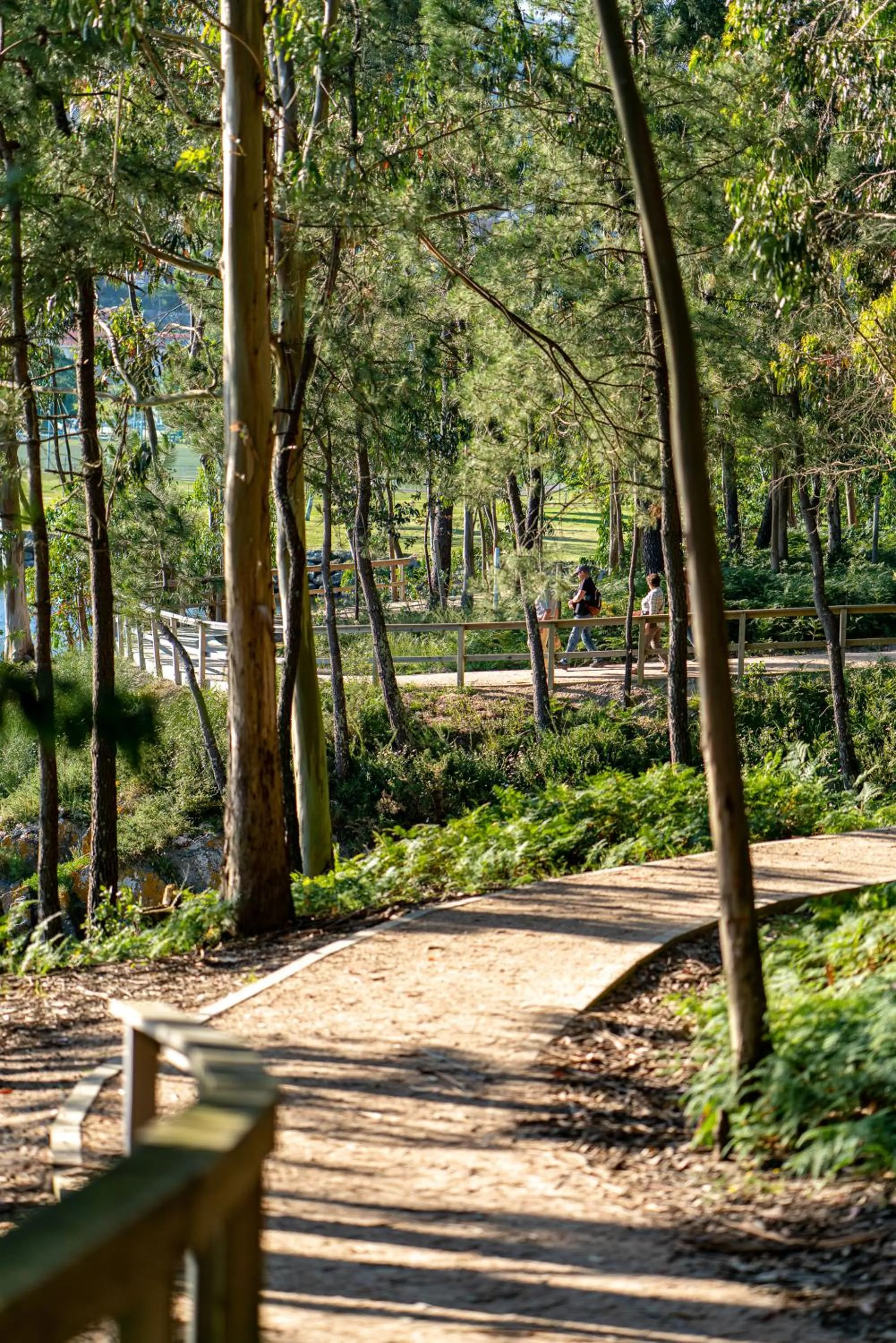 Area and facilities in Villa Covelo