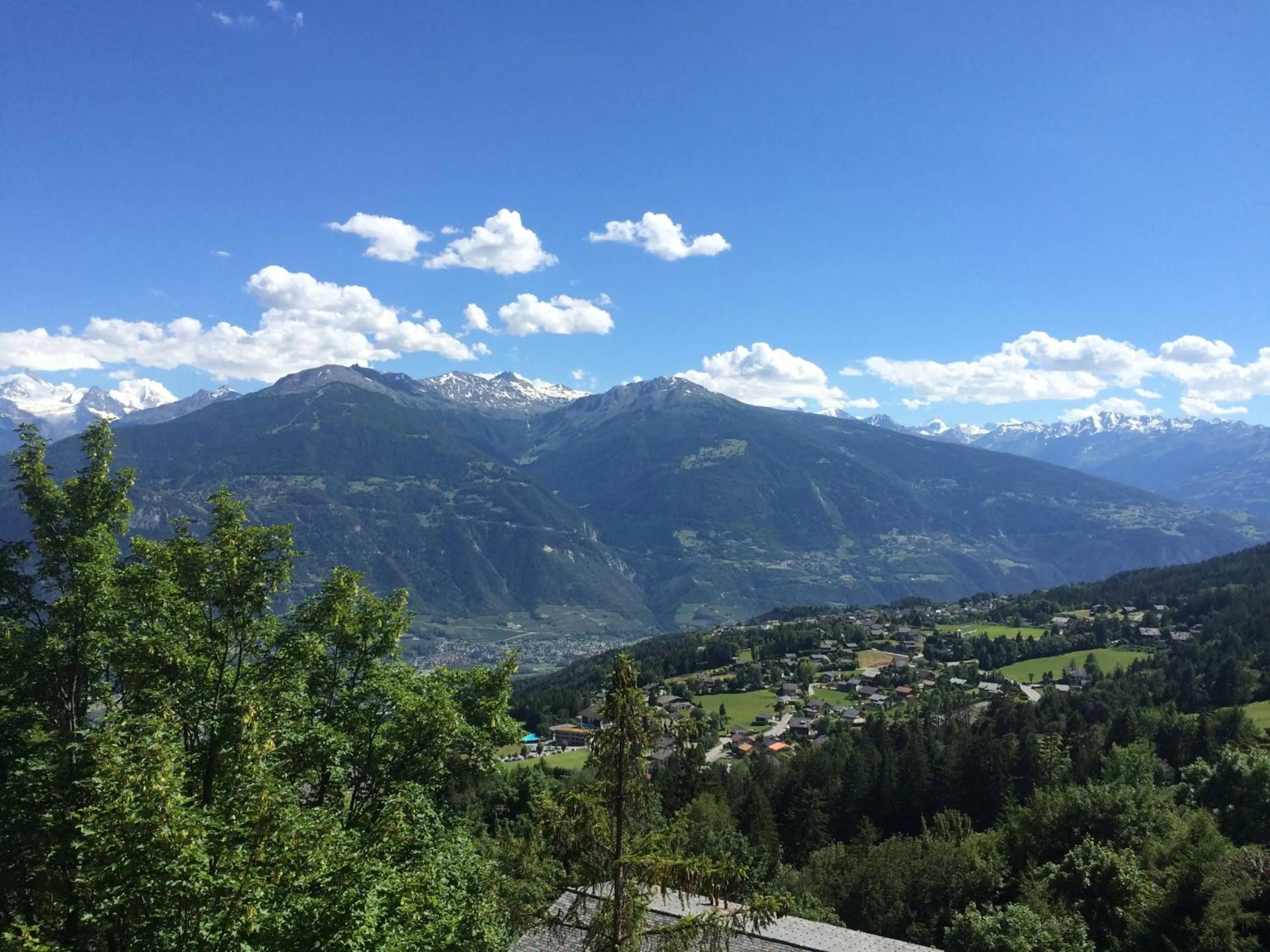 Summer in Hôtel de la Forêt