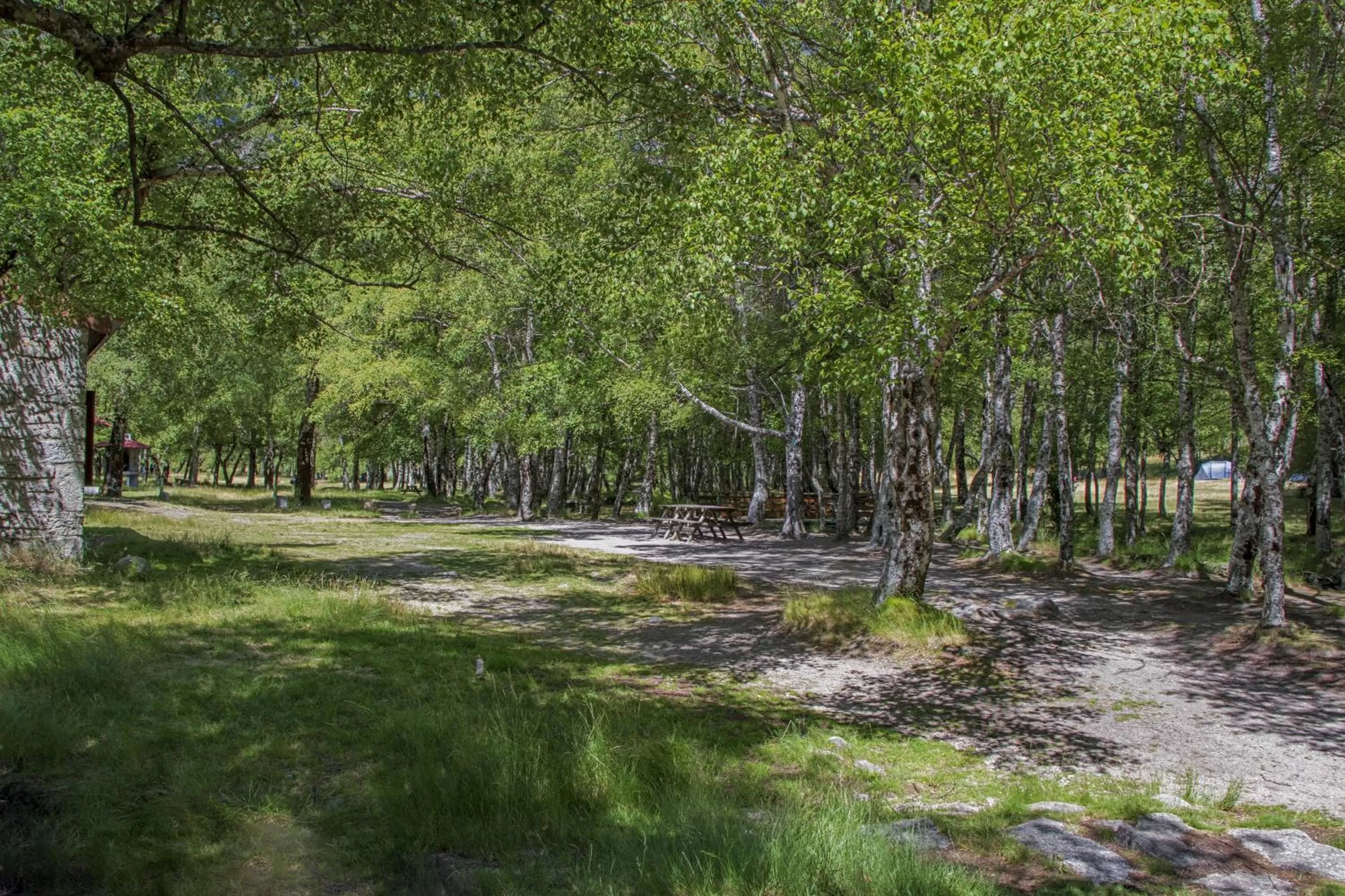 Natural landscape in Luna Hotel Serra da Estrela