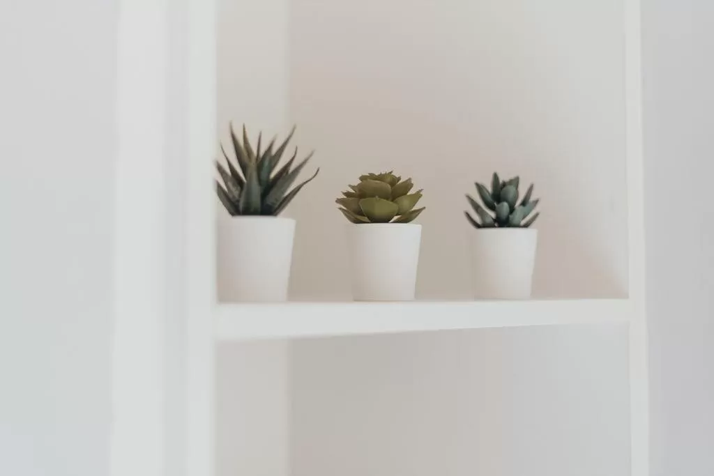 Quarter by the Warren Collection