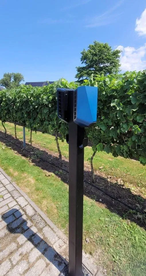 Garden in B&B Abalona