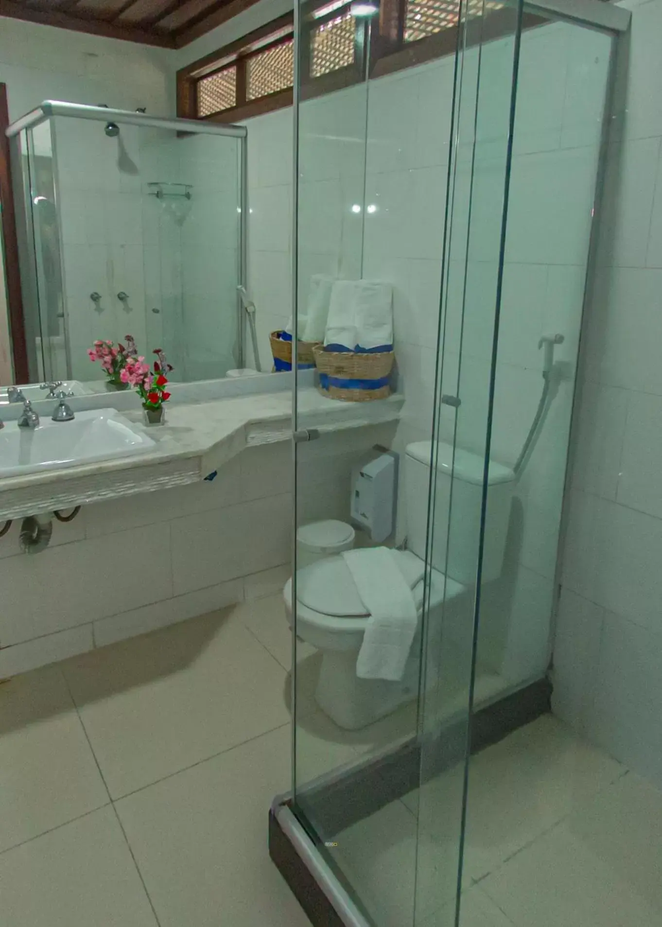 Single Room in Hotel Solar do Imperador Single Room in Hotel Solar do Imperador