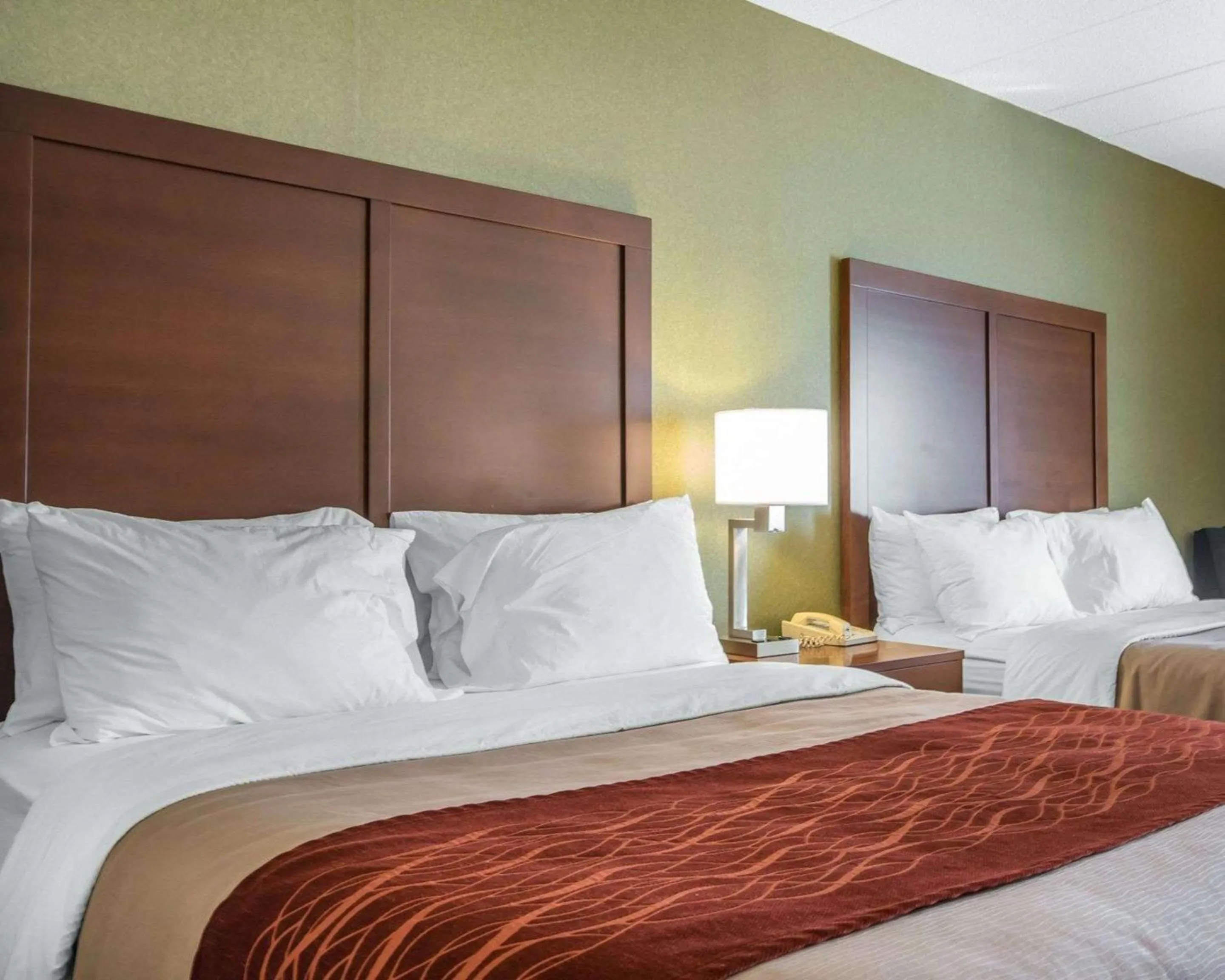 Photo of the whole room, Bed in Comfort Inn Winchester