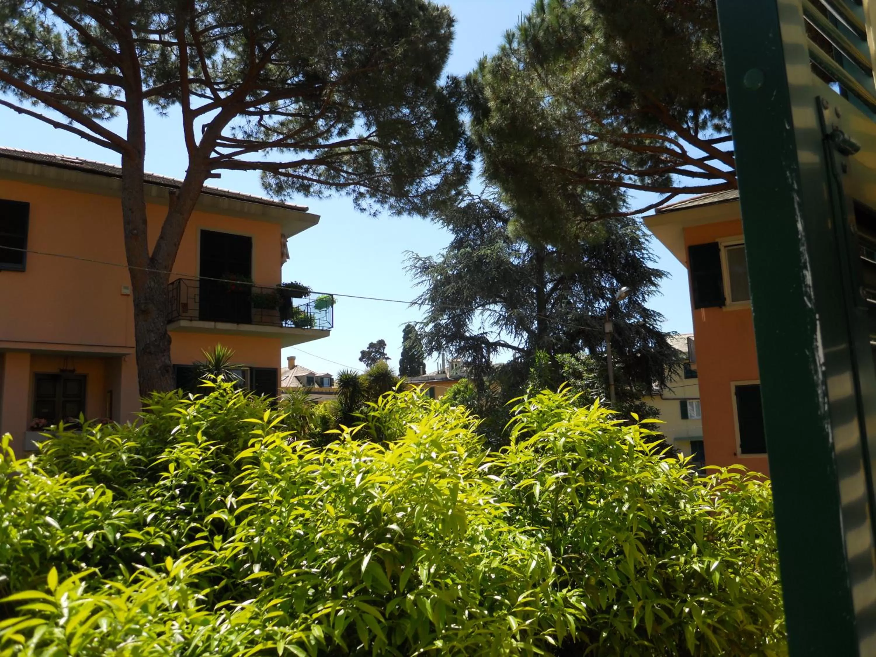 Garden in Locanda Villa Moderna