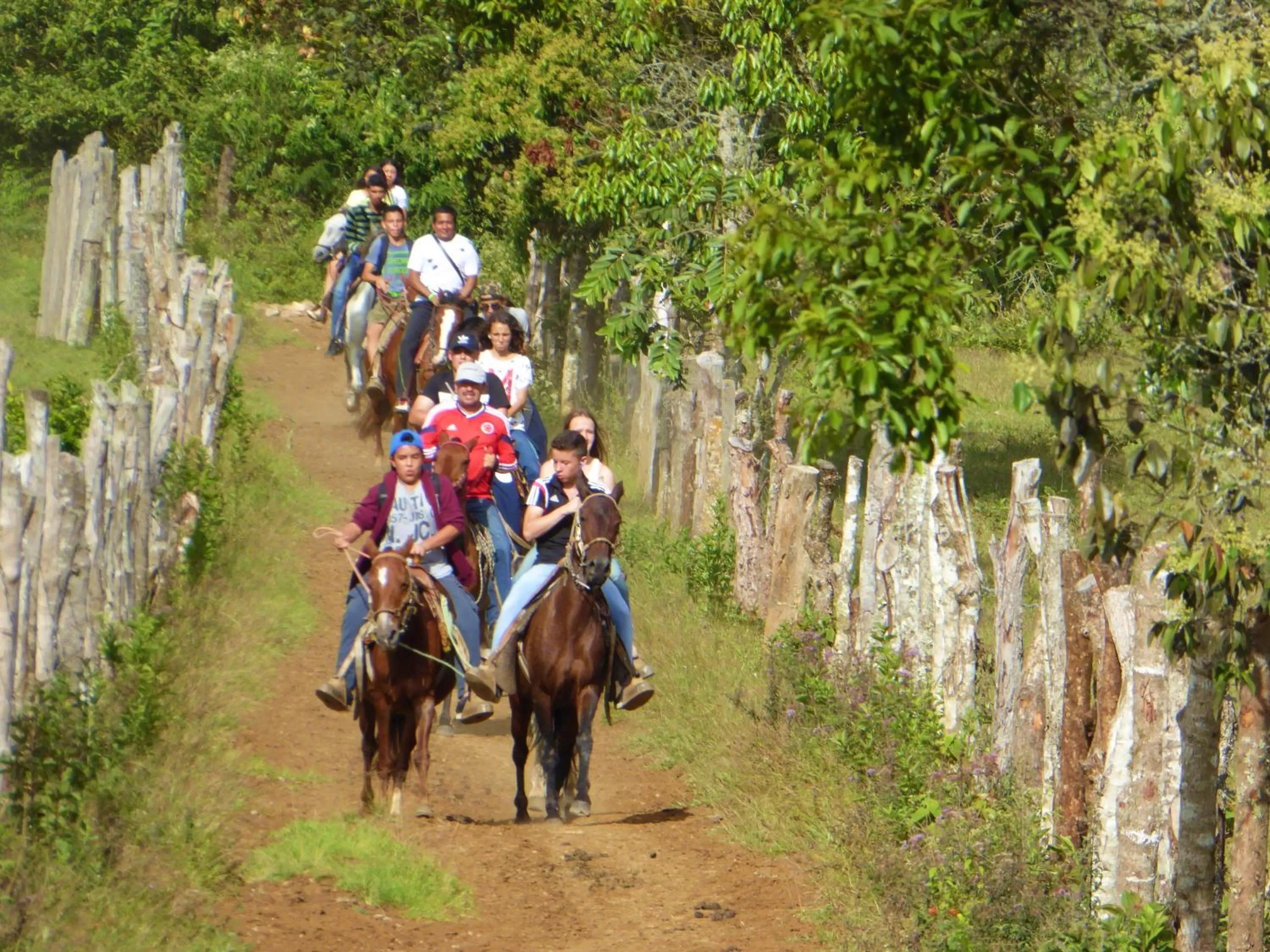 Horse-riding, Horseback Riding in Finca El Cielo