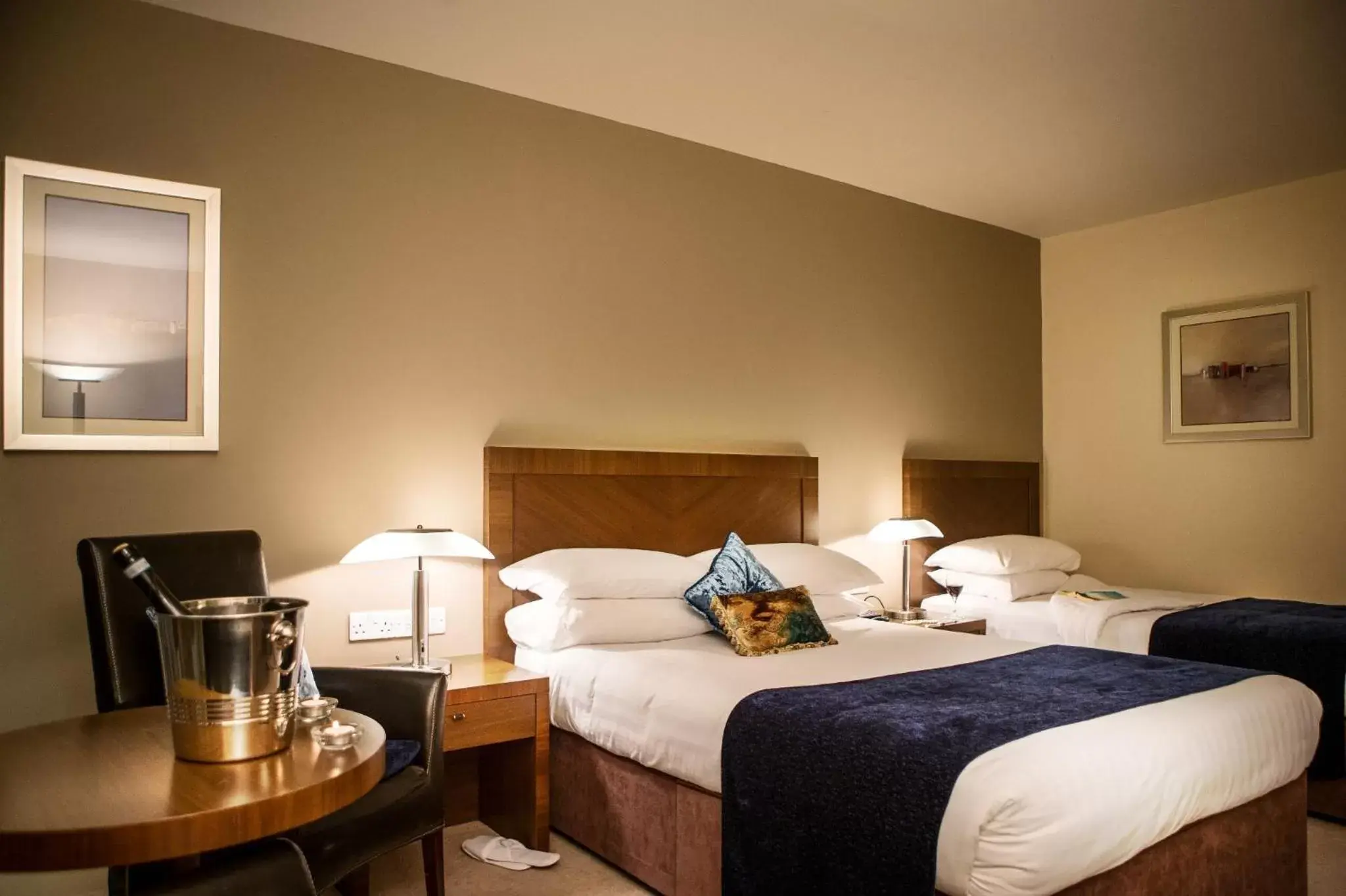 Double for single occupancy in Ballyroe Heights Hotel Double for single occupancy in Ballyroe Heights Hotel