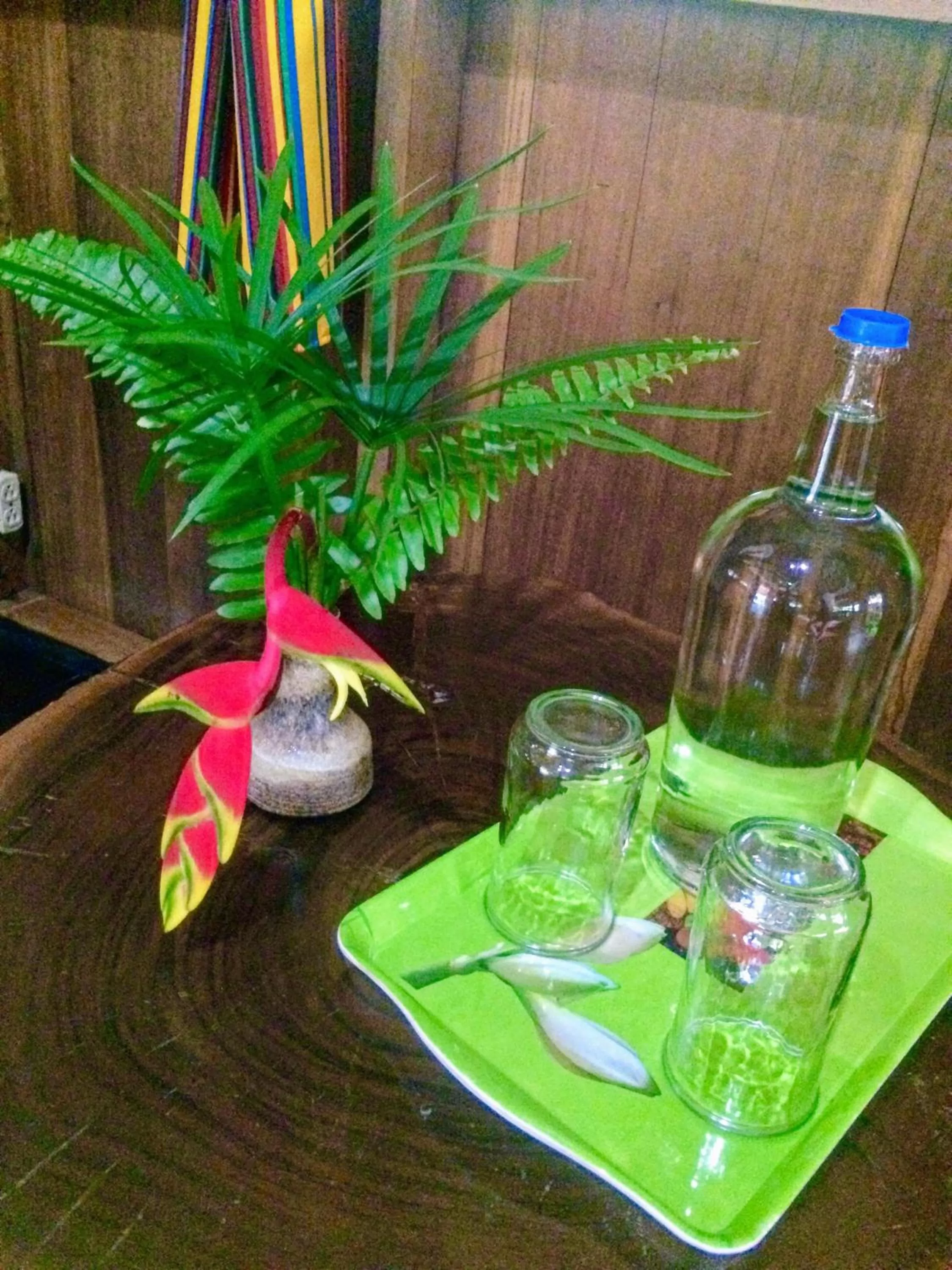 Drinks in Sun Creek Lodge