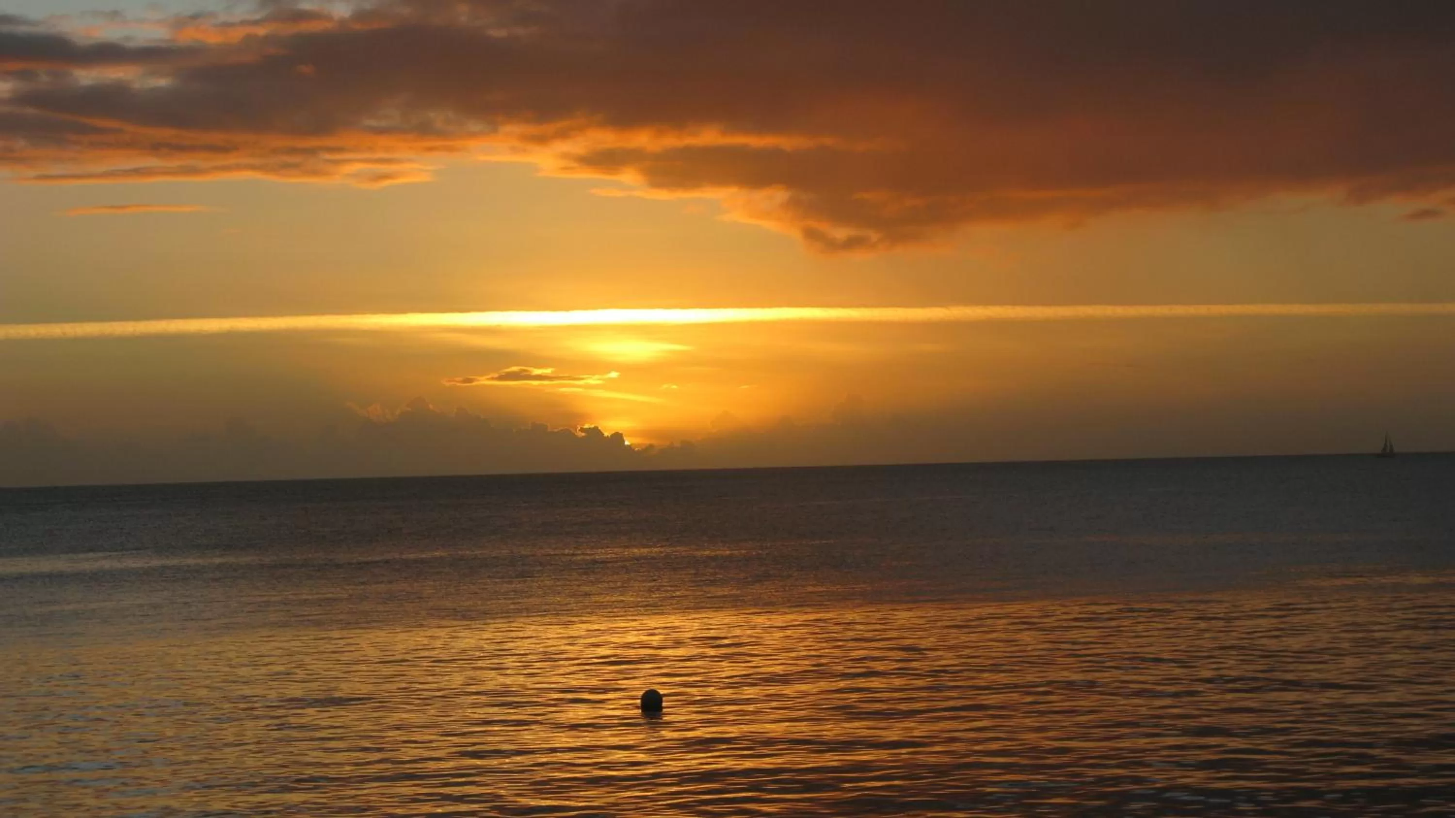 Natural landscape in The Downtown Hotel