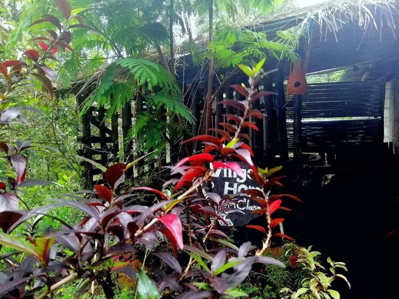 Natural landscape, Other Animals in The Horizon Root Inn