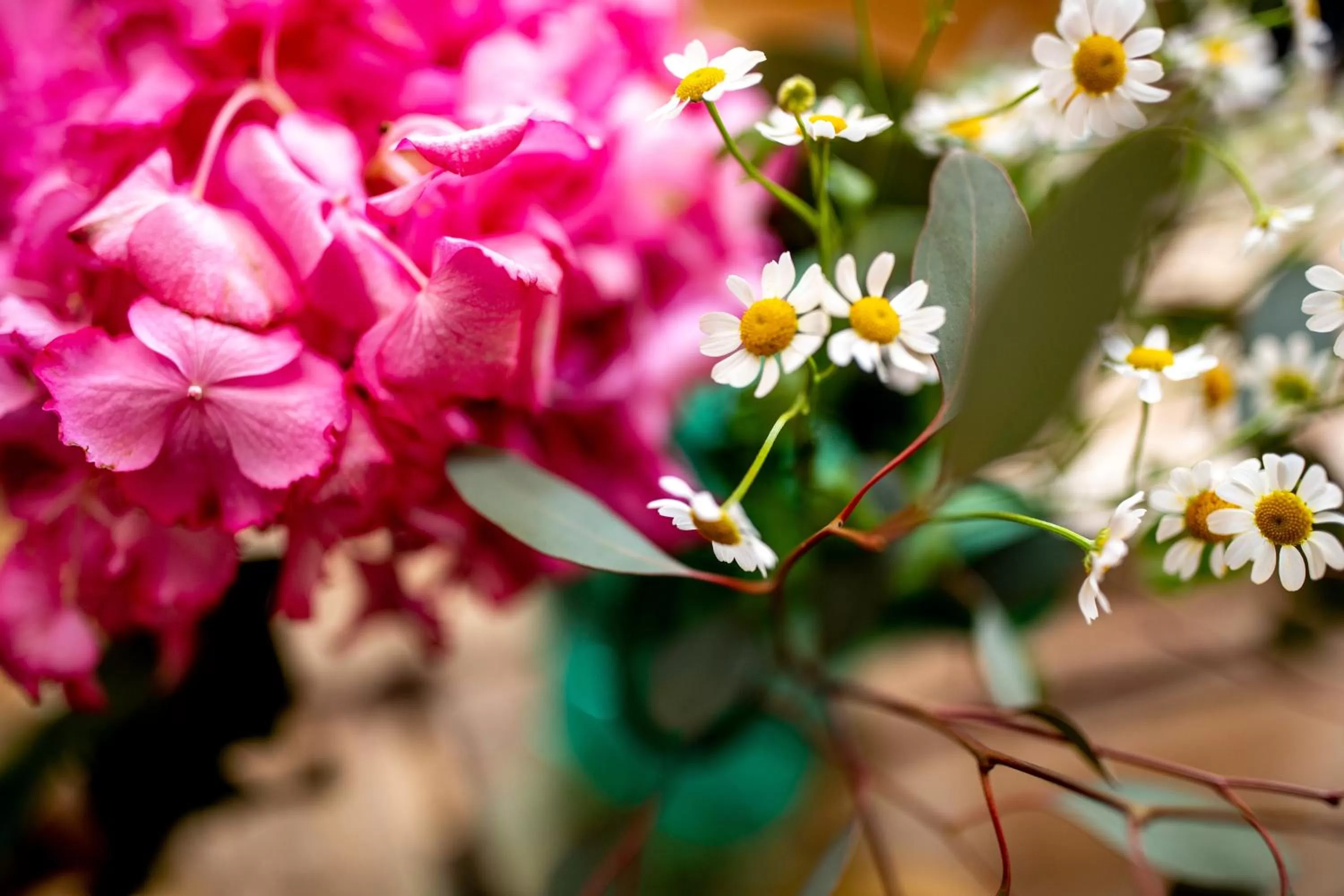 Spring in Hotel Haus Sajons