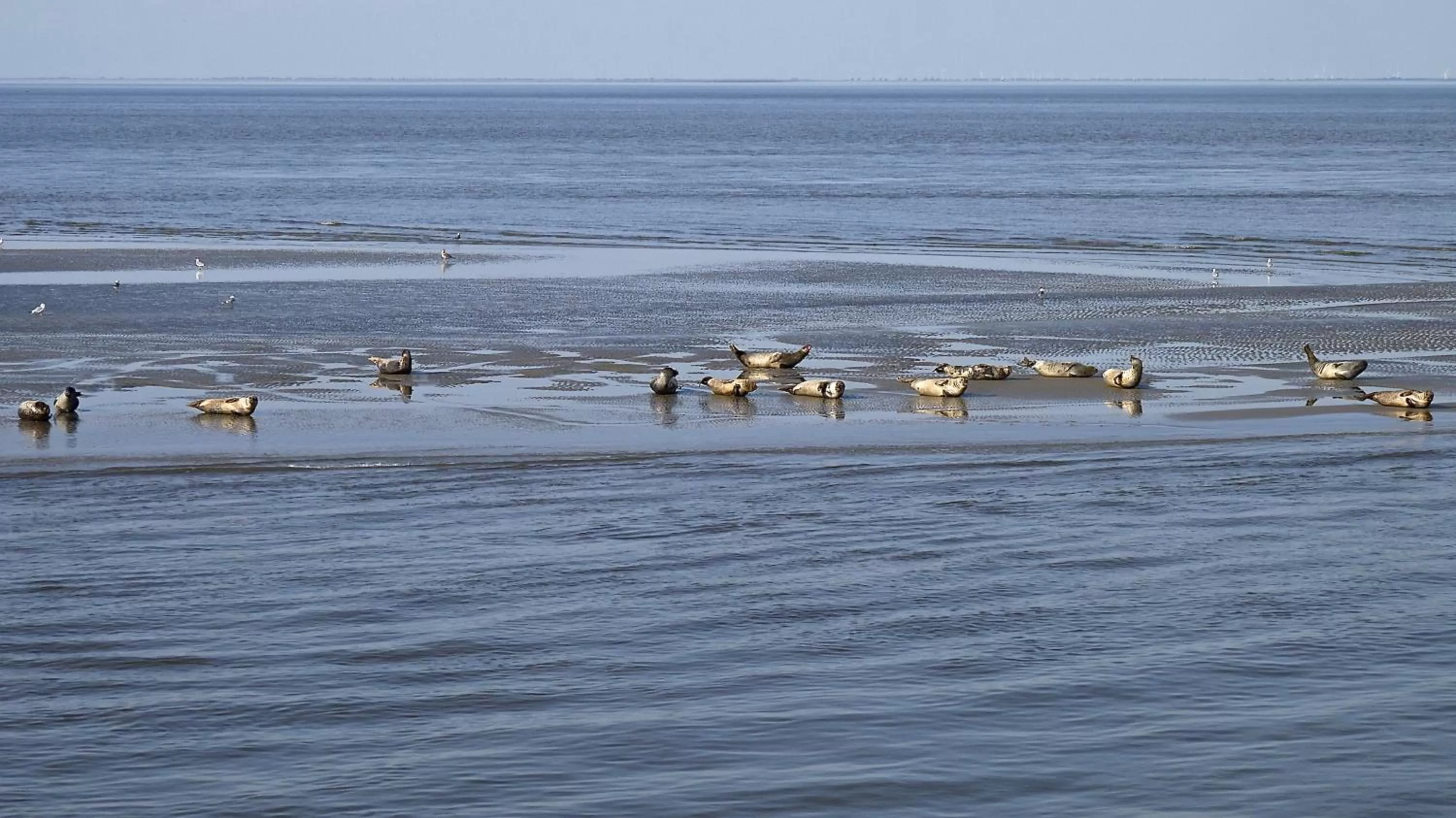 Day in Hotel Deichgraf