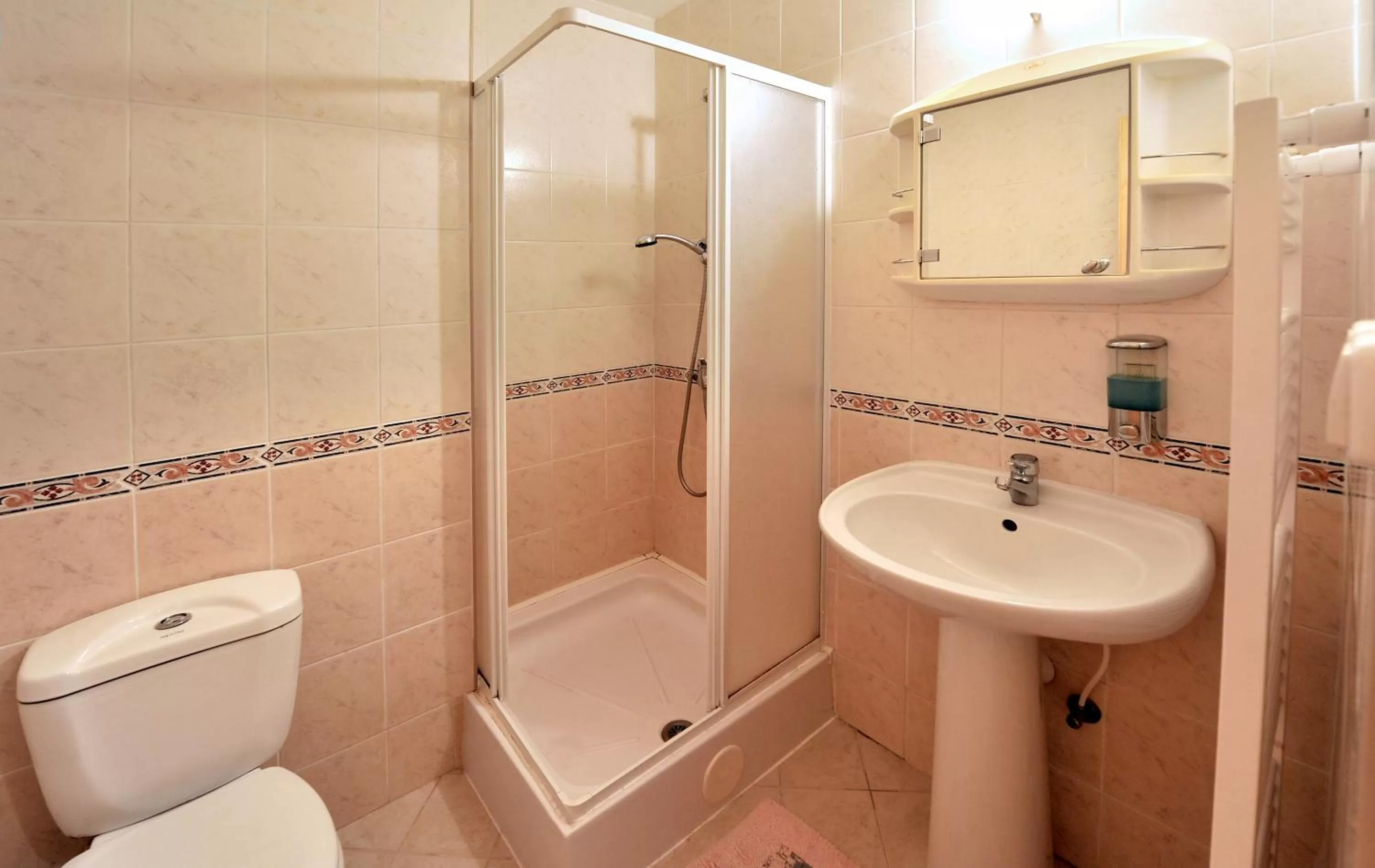 Shower, Bathroom in Apartmány Renomal