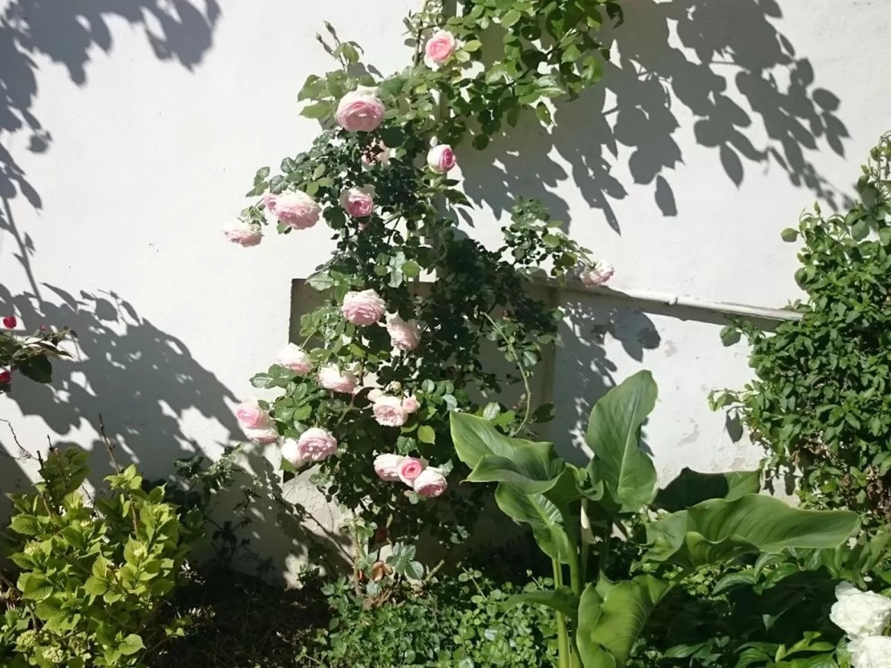 Garden in Le Clos Chez Michel