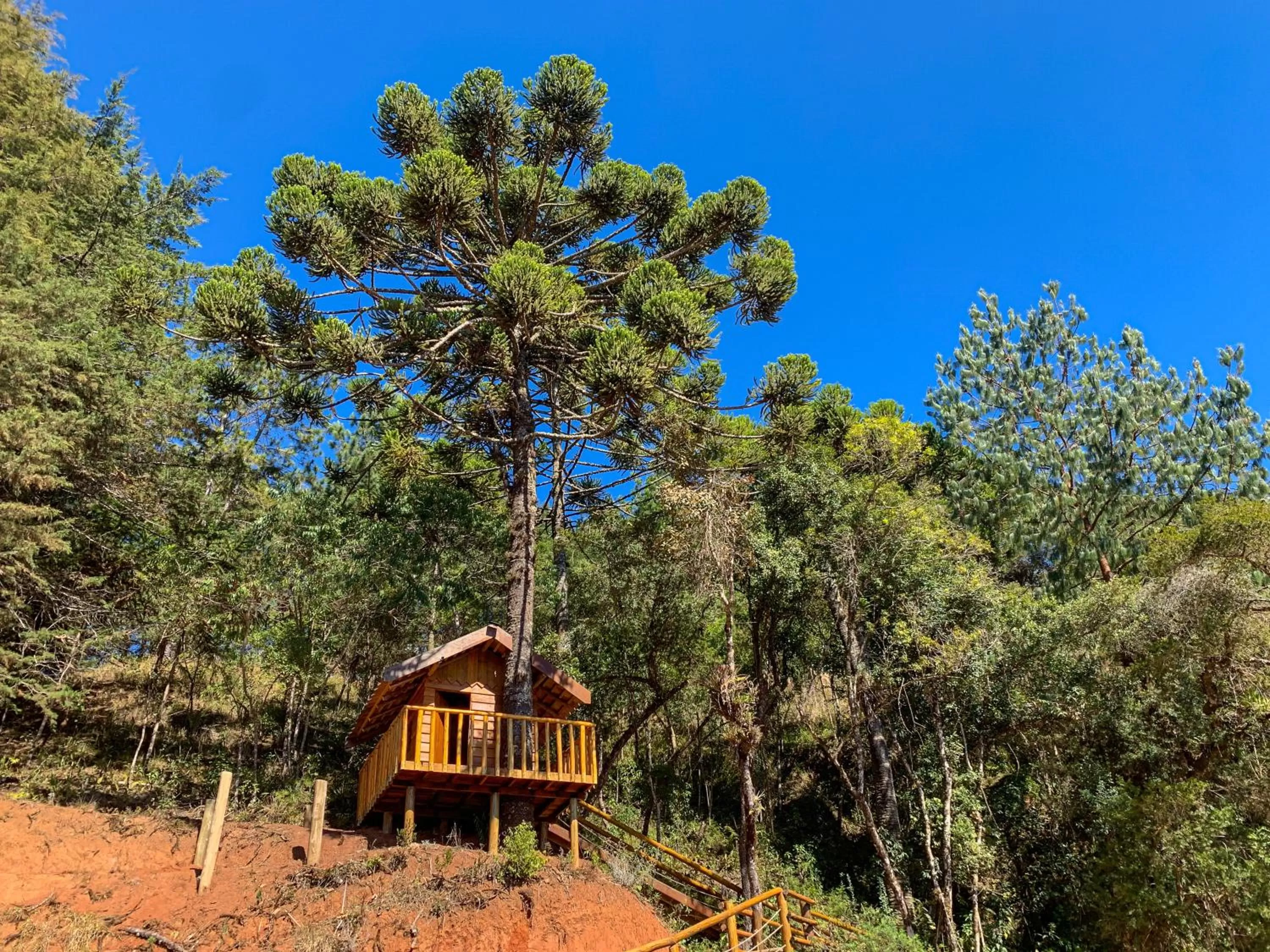 Property Building in DOM Hotel Boutique