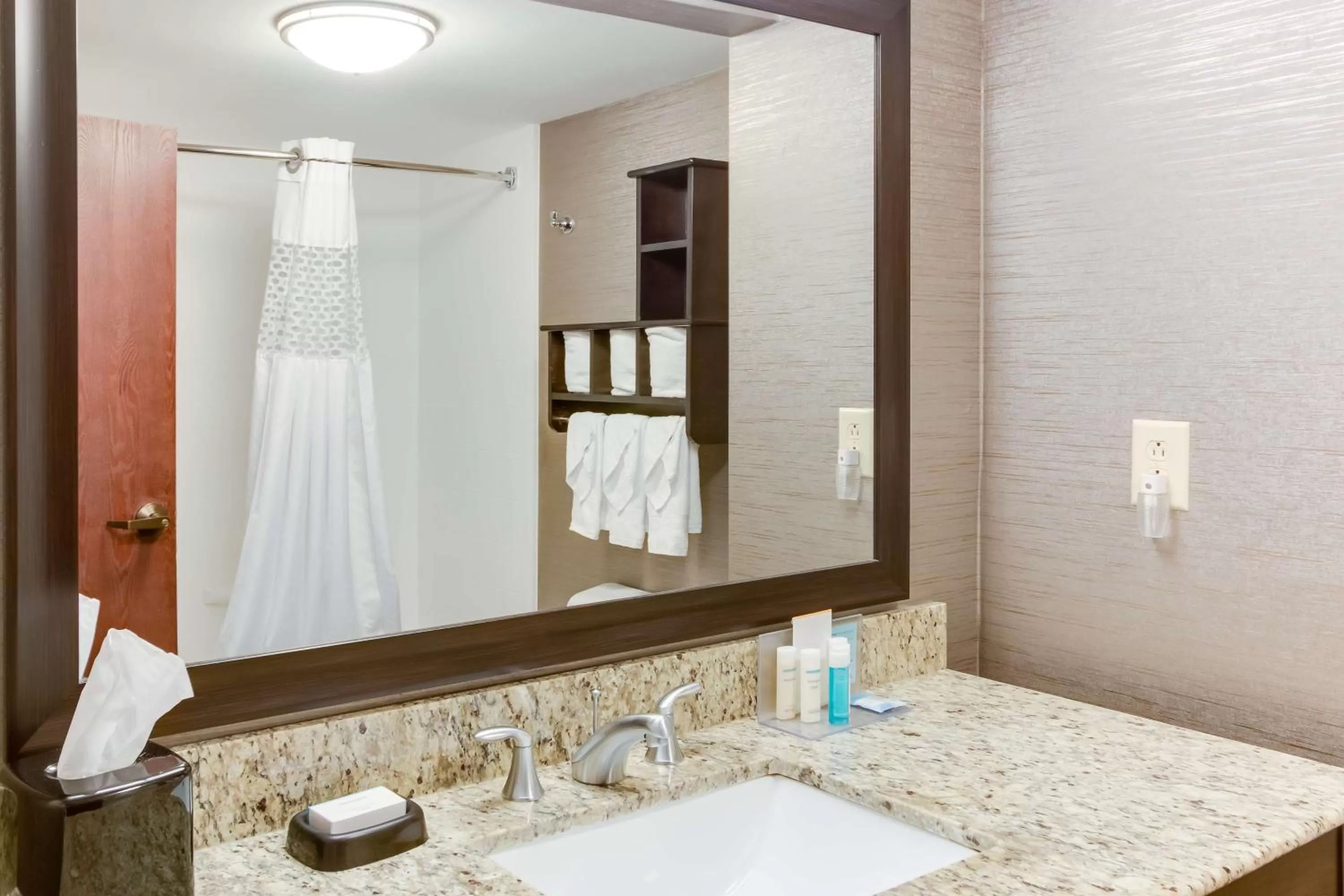 Bathroom in Hampton Inn Bellevue/Nashville I-40 West