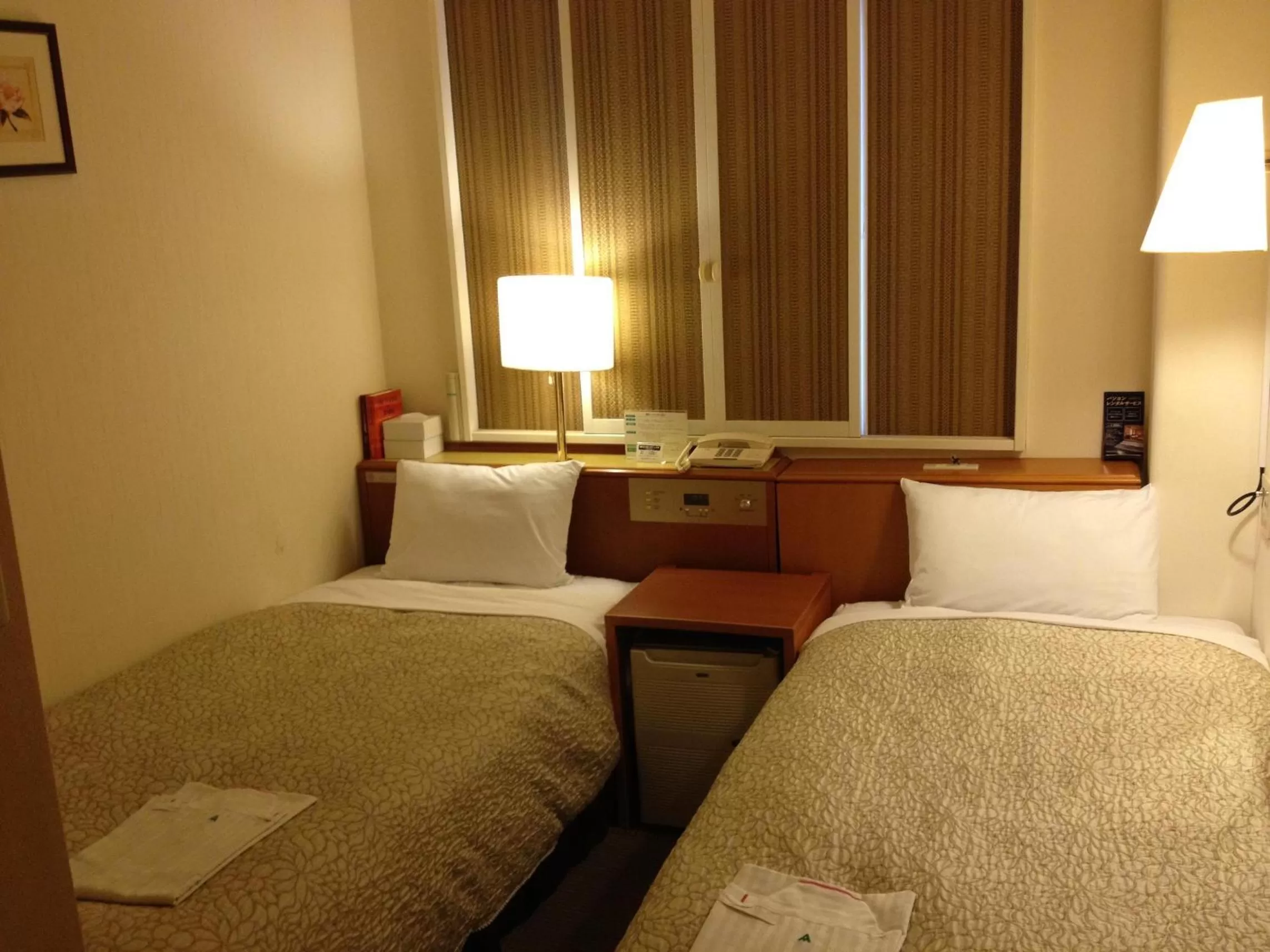 Twin Room - Non-Smoking in Ace Inn Kariya