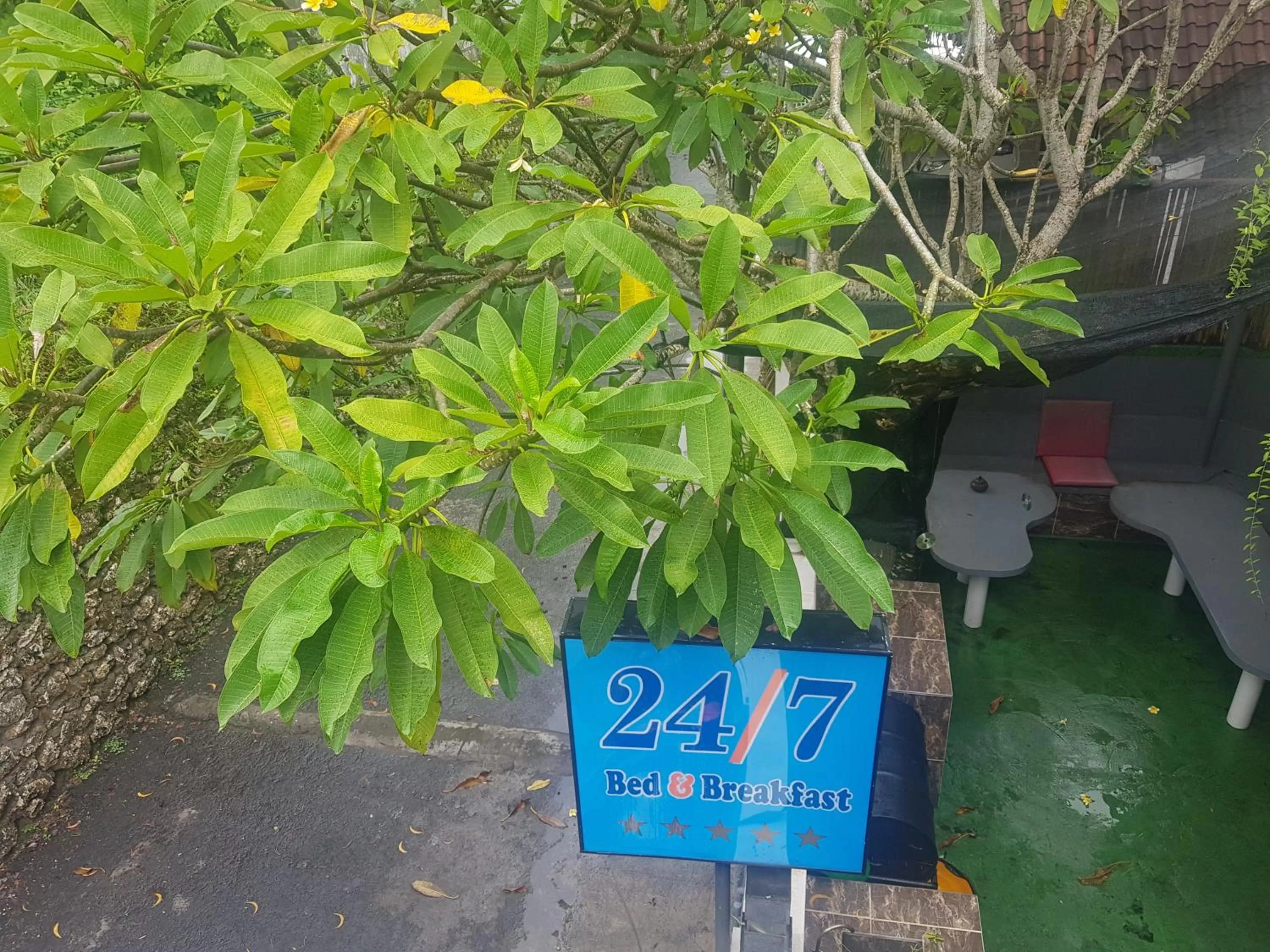 Bird's eye view in 24/7 Bed & Breakfast