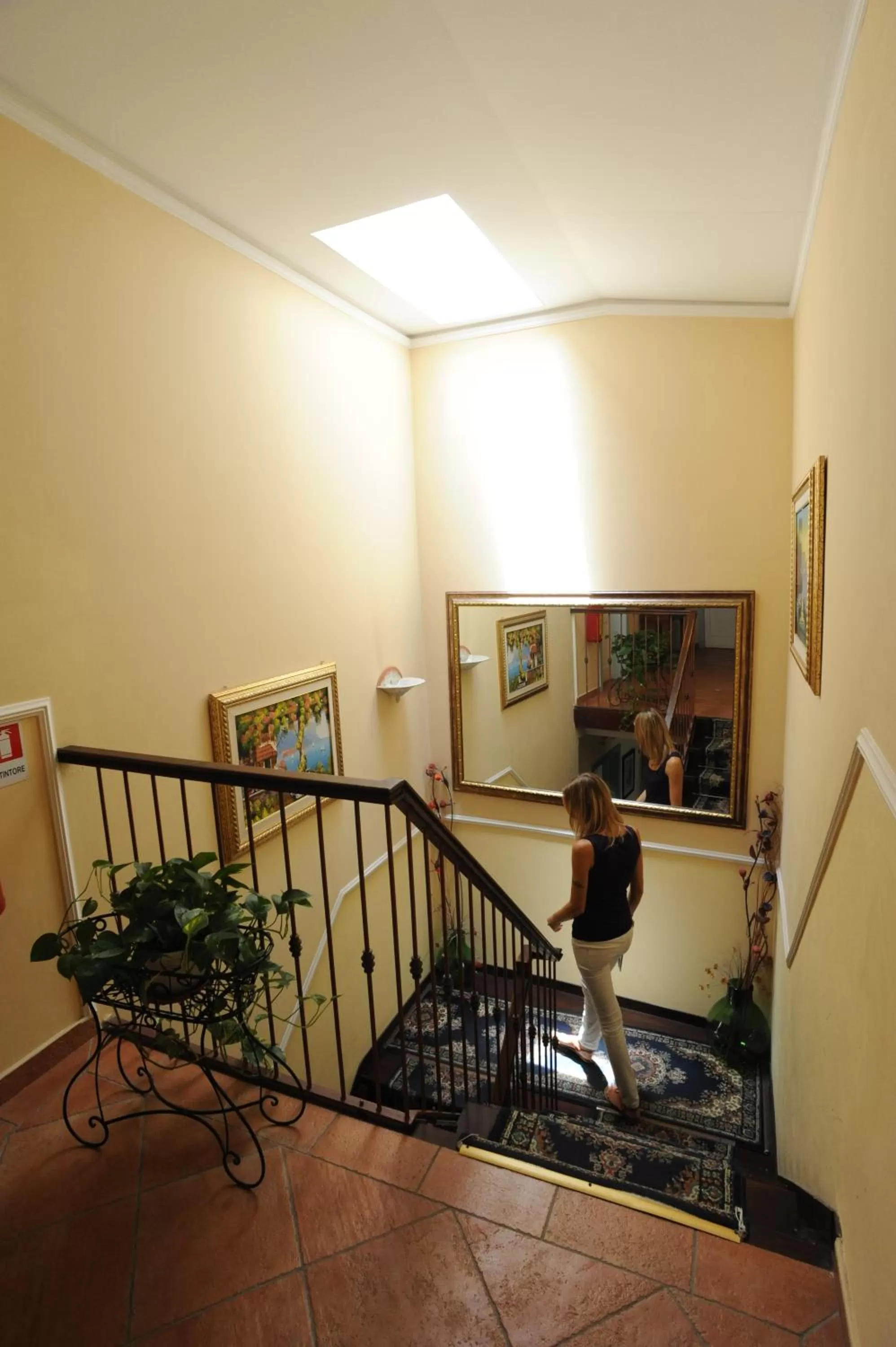 Area and facilities in Hotel Mediterraneo