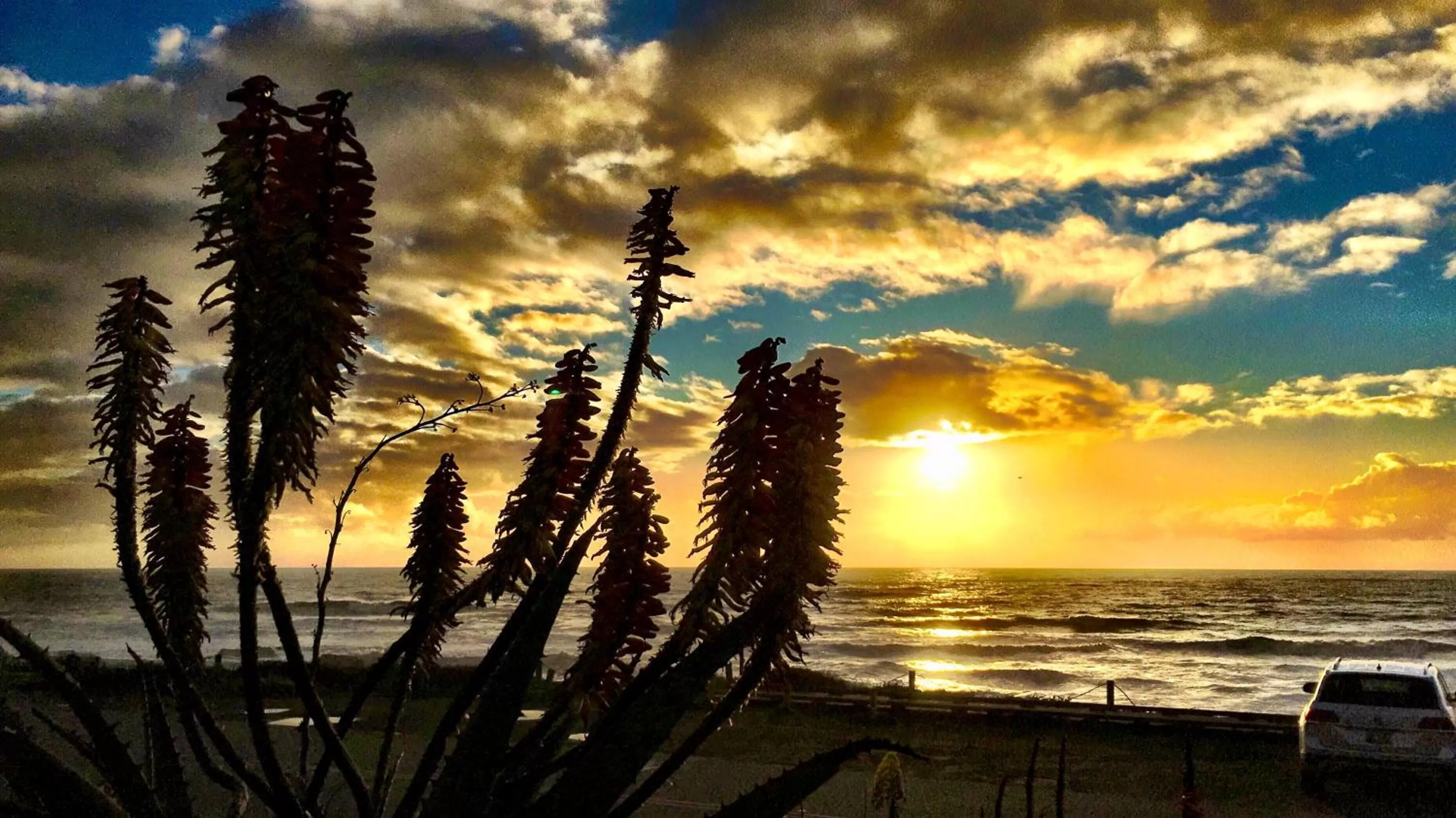 Sea view in Cambria Shores Inn