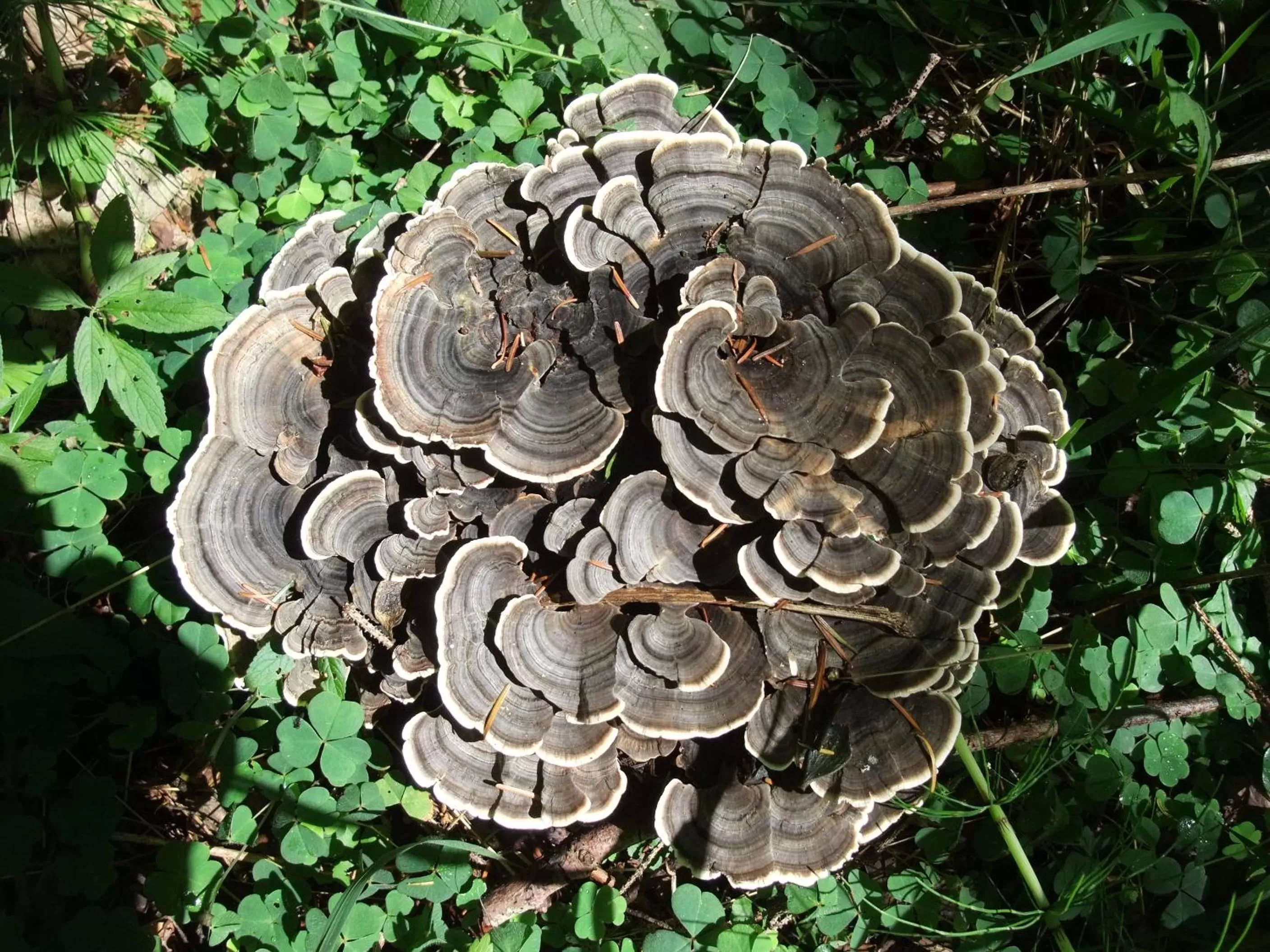 Staff in Schätzlhof