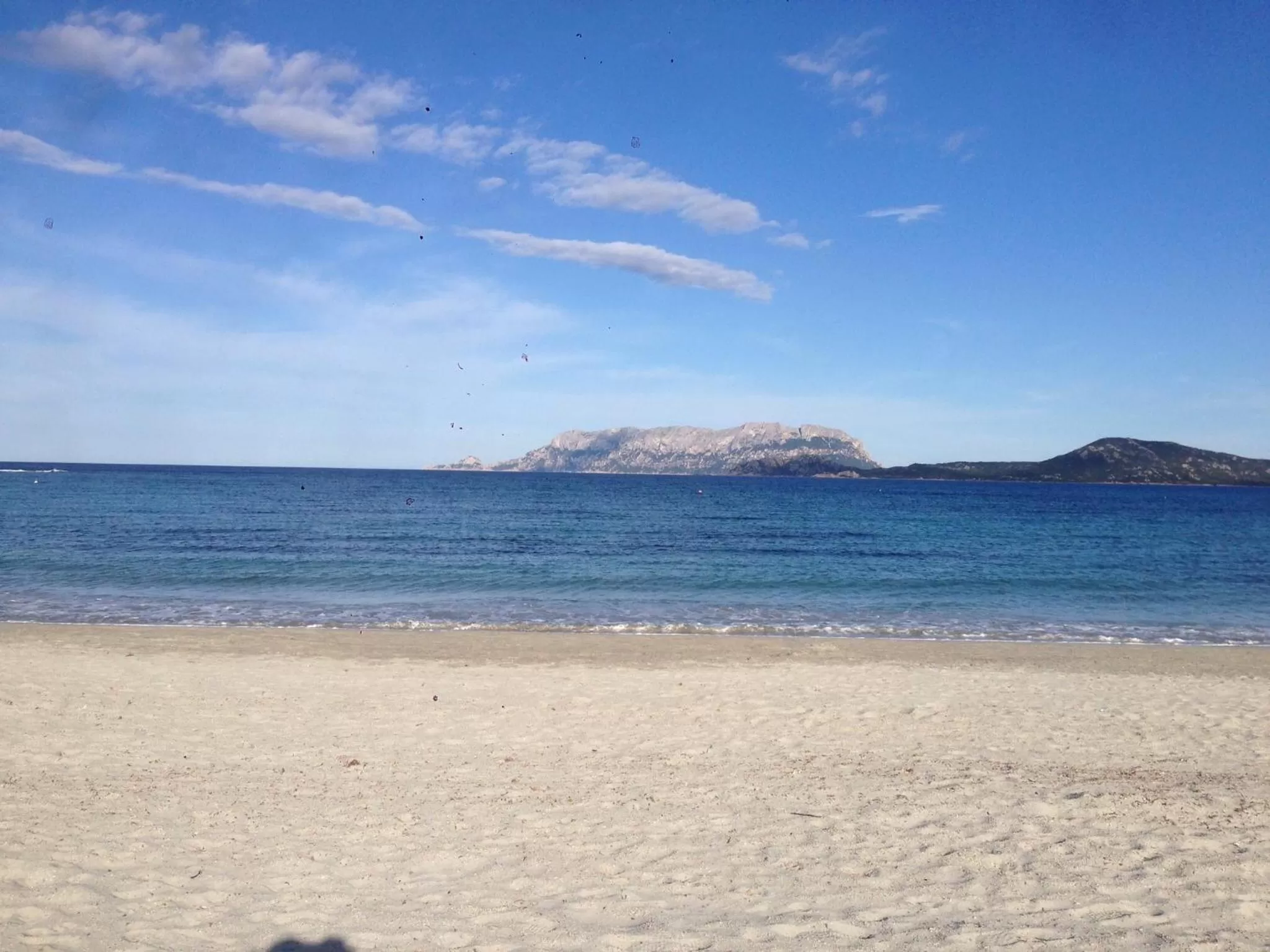 Other in Domus de Diana