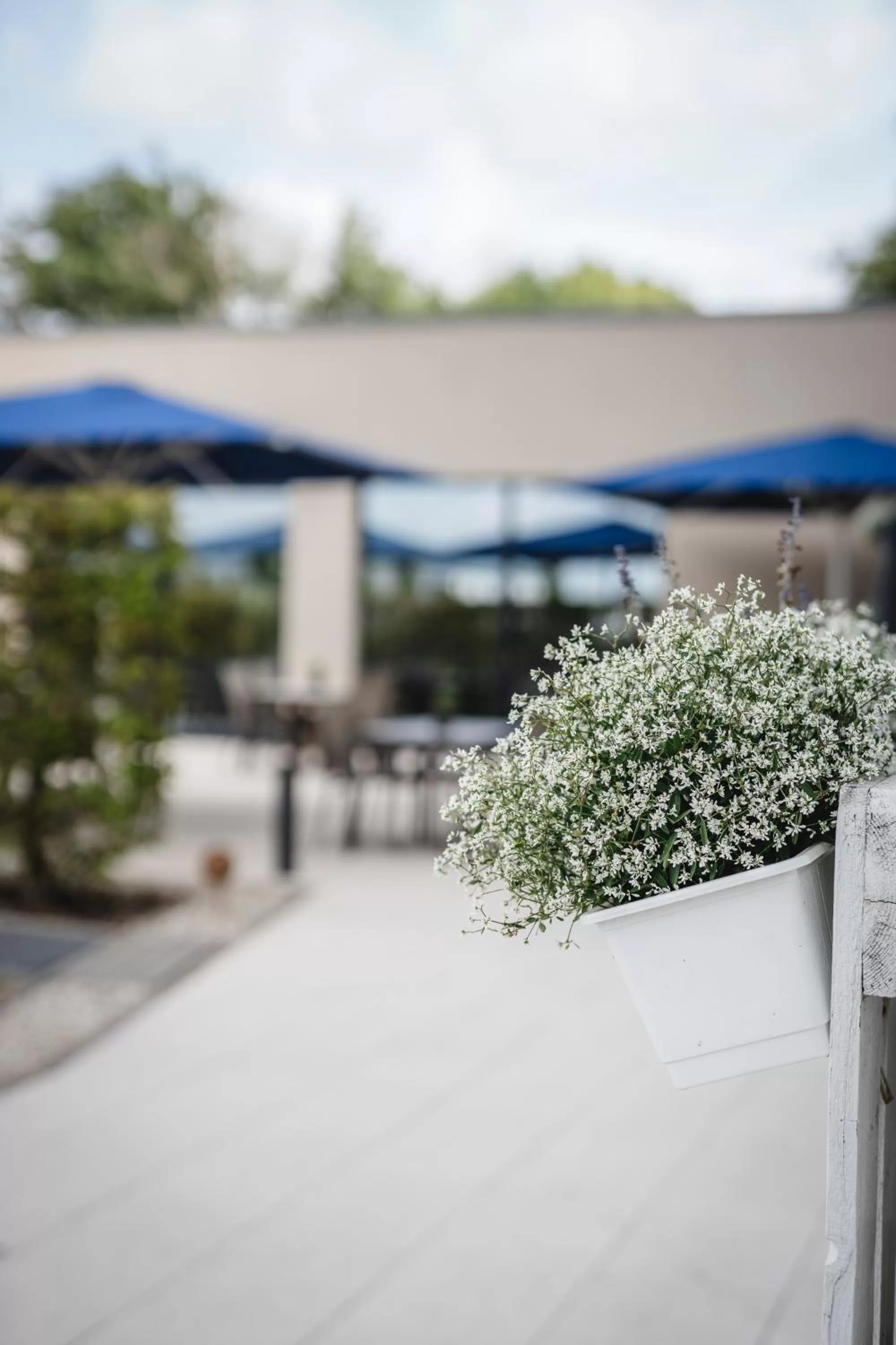 Balcony/Terrace in i - PARK Hotel Reichenberg