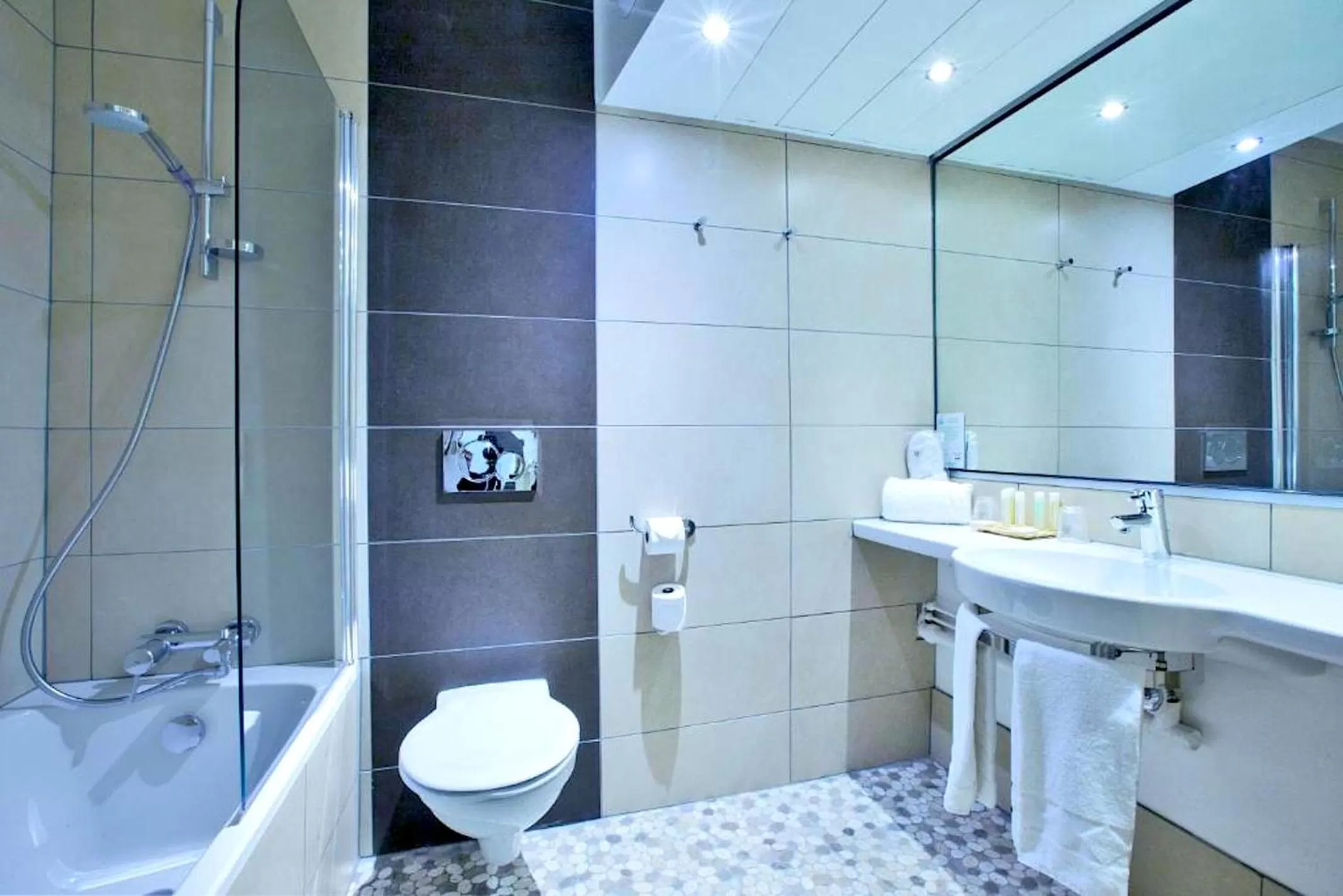 Bathroom in Kyriad Prestige Mulhouse - Basel