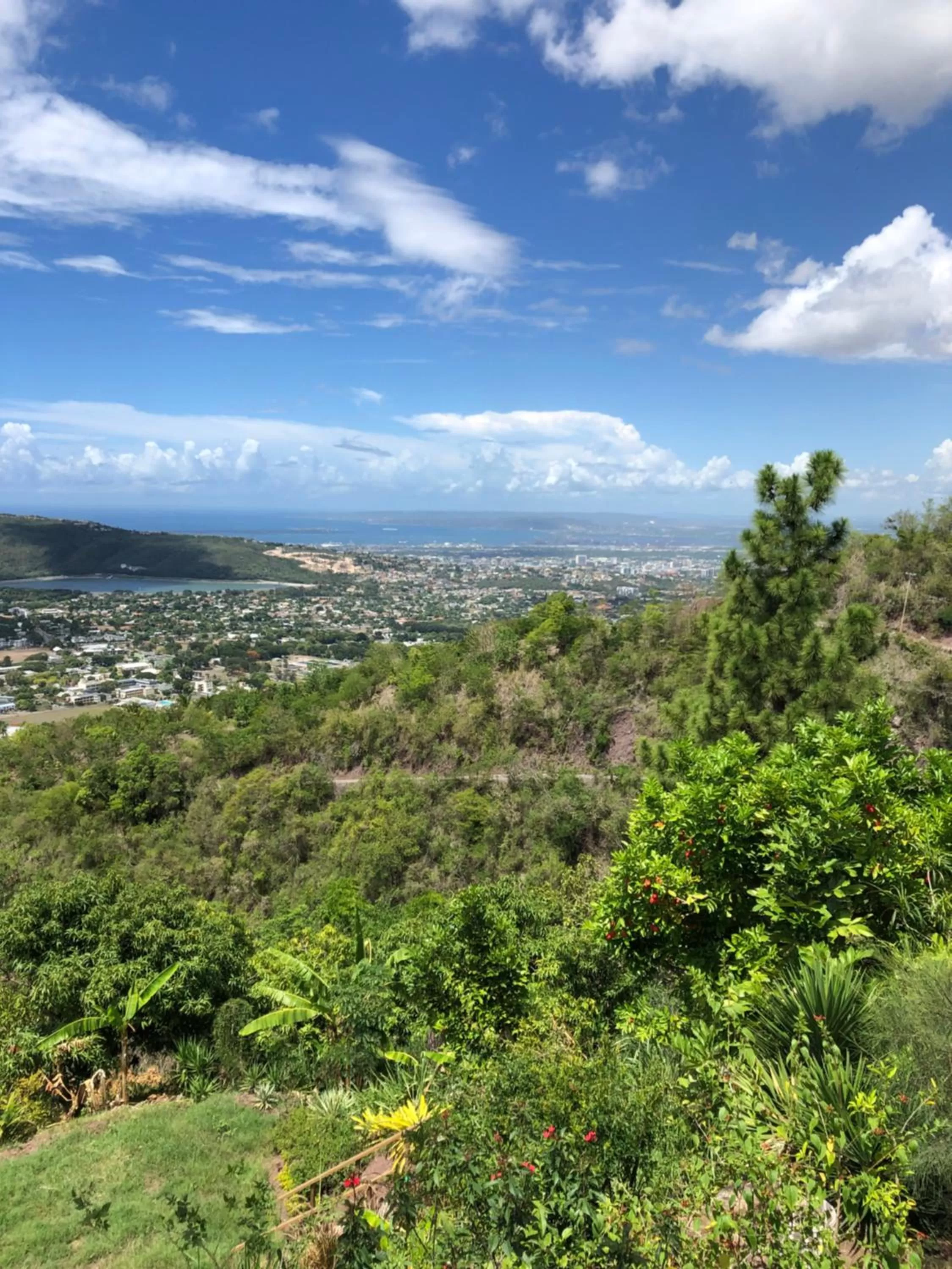 View (from property/room) in Tranquility Estate