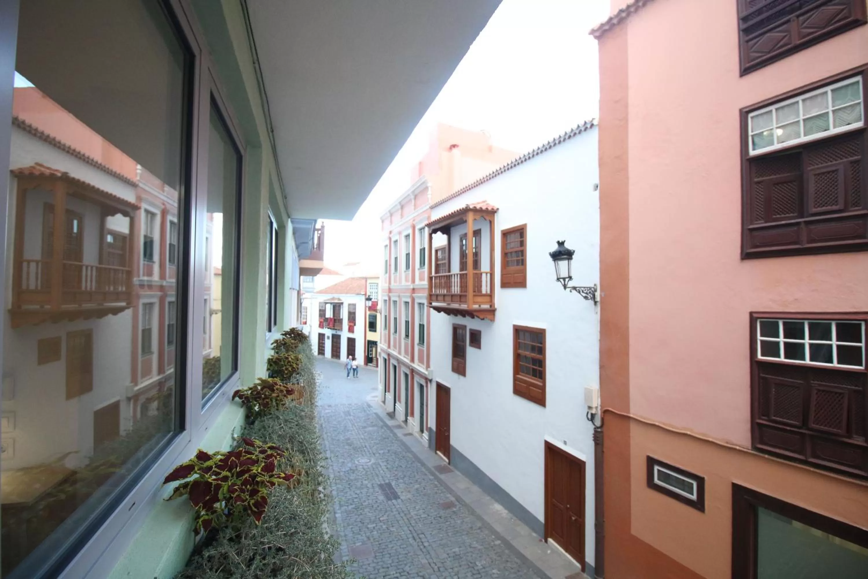 Street view in Banana Garden La Palma