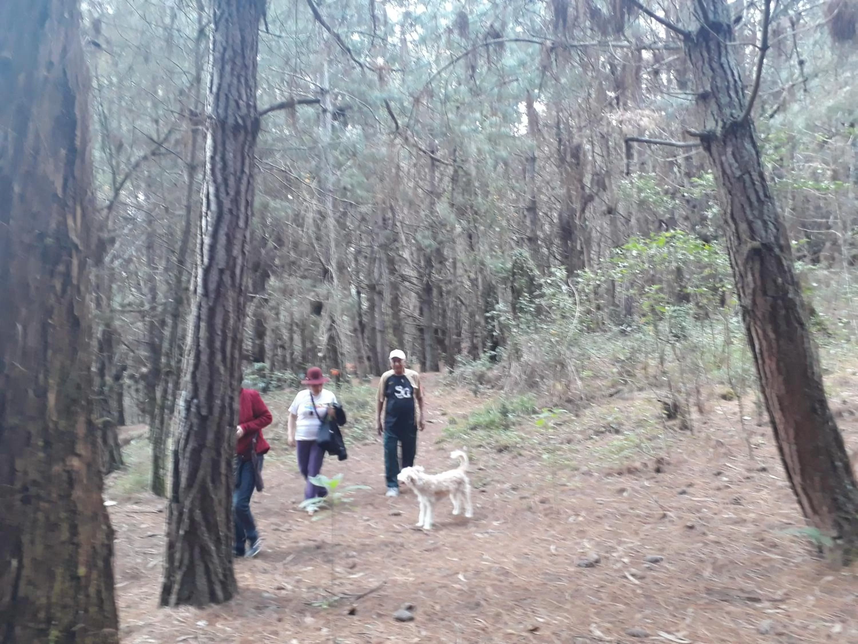 Hiking, Guests in El Cardenal Hotel