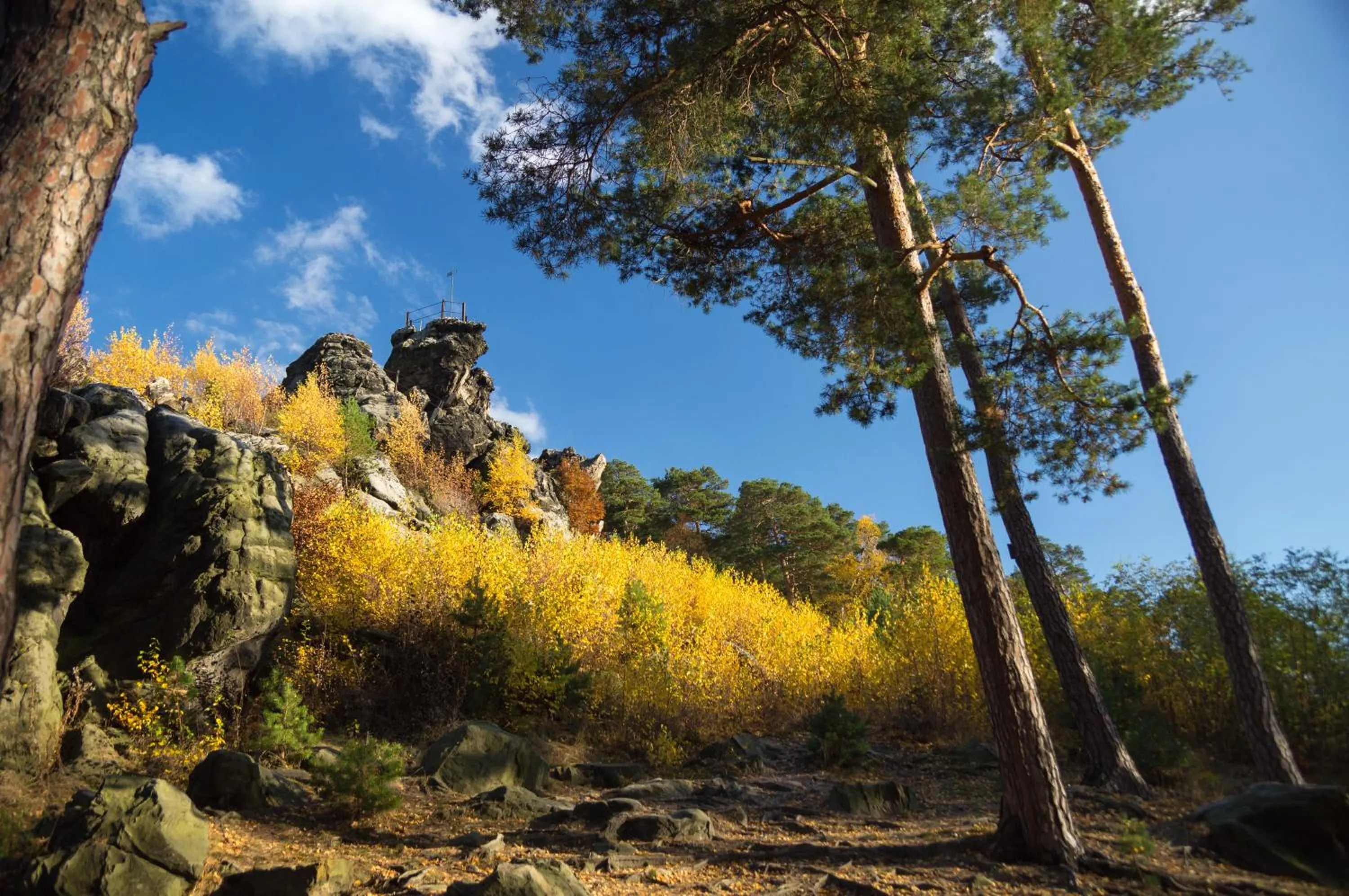 Nearby landmark in Hotel Villa Viktoria Luise