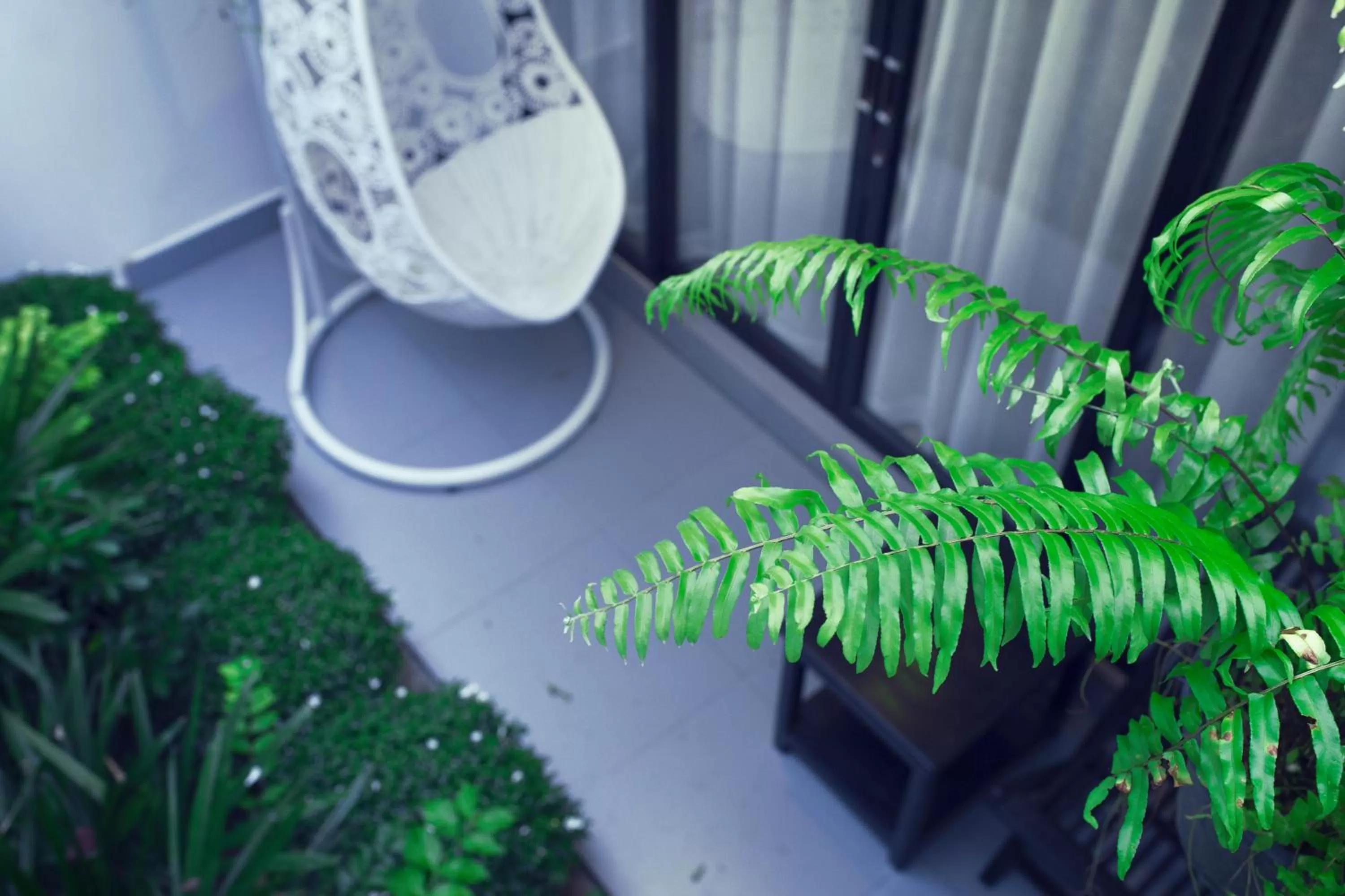 Balcony/Terrace in Ladear Privilege Rooms